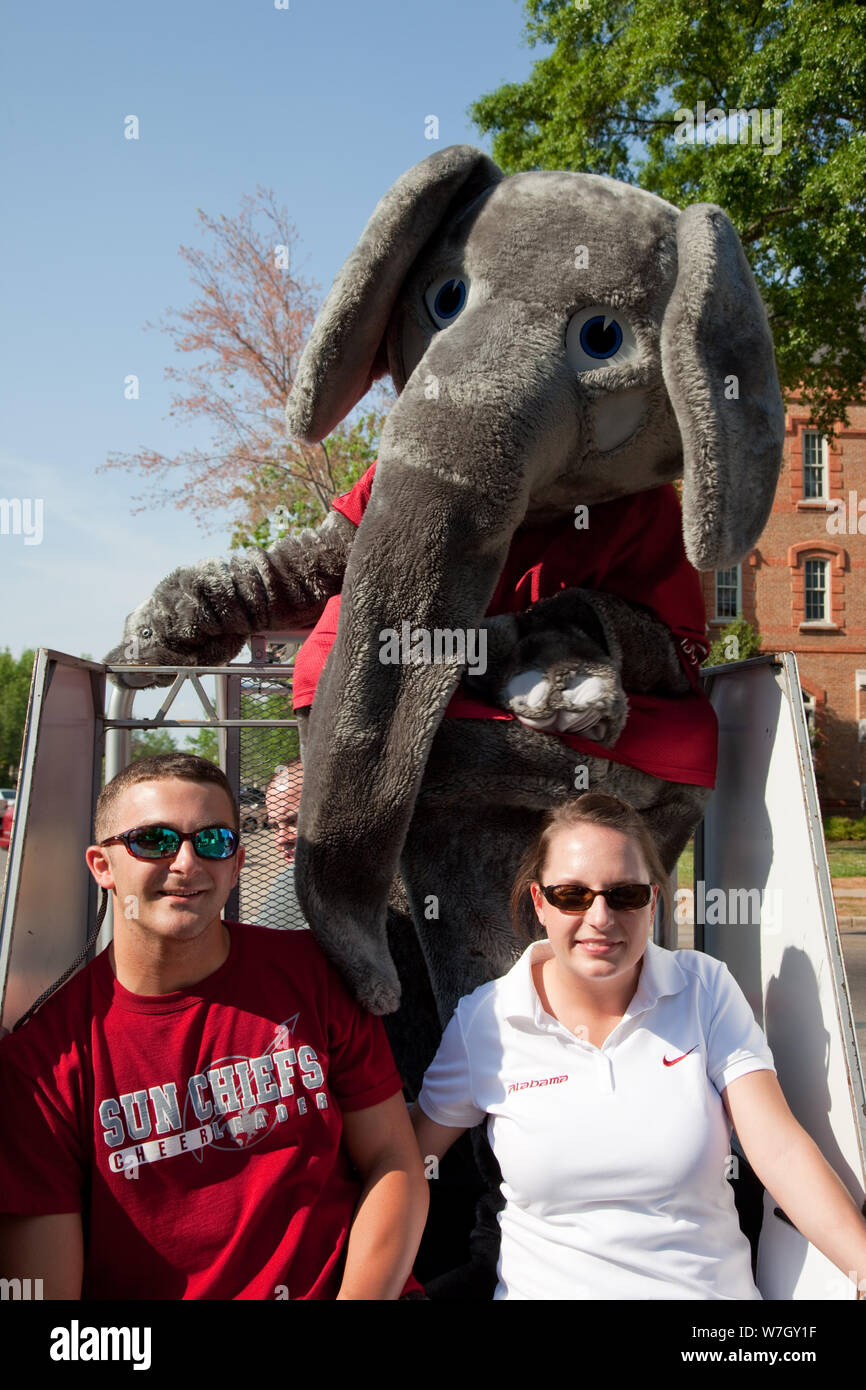 Big Al, la mascotte di elefante per la University of Alabama Crimson Tide di calcio, scorre attraverso il campus prima di una giornata di gioco, Tuscaloosa, Alabama Foto Stock