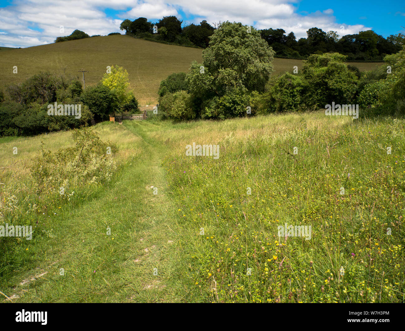 Hartslock Nature Reserve, Oxfordshire, Inghilterra, Regno Unito, GB. Foto Stock