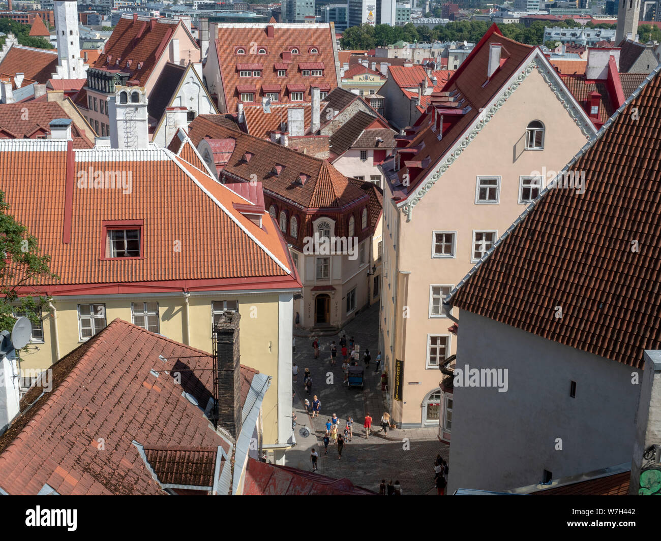 Città vecchia di Tallinn da Toompea Hill Foto Stock