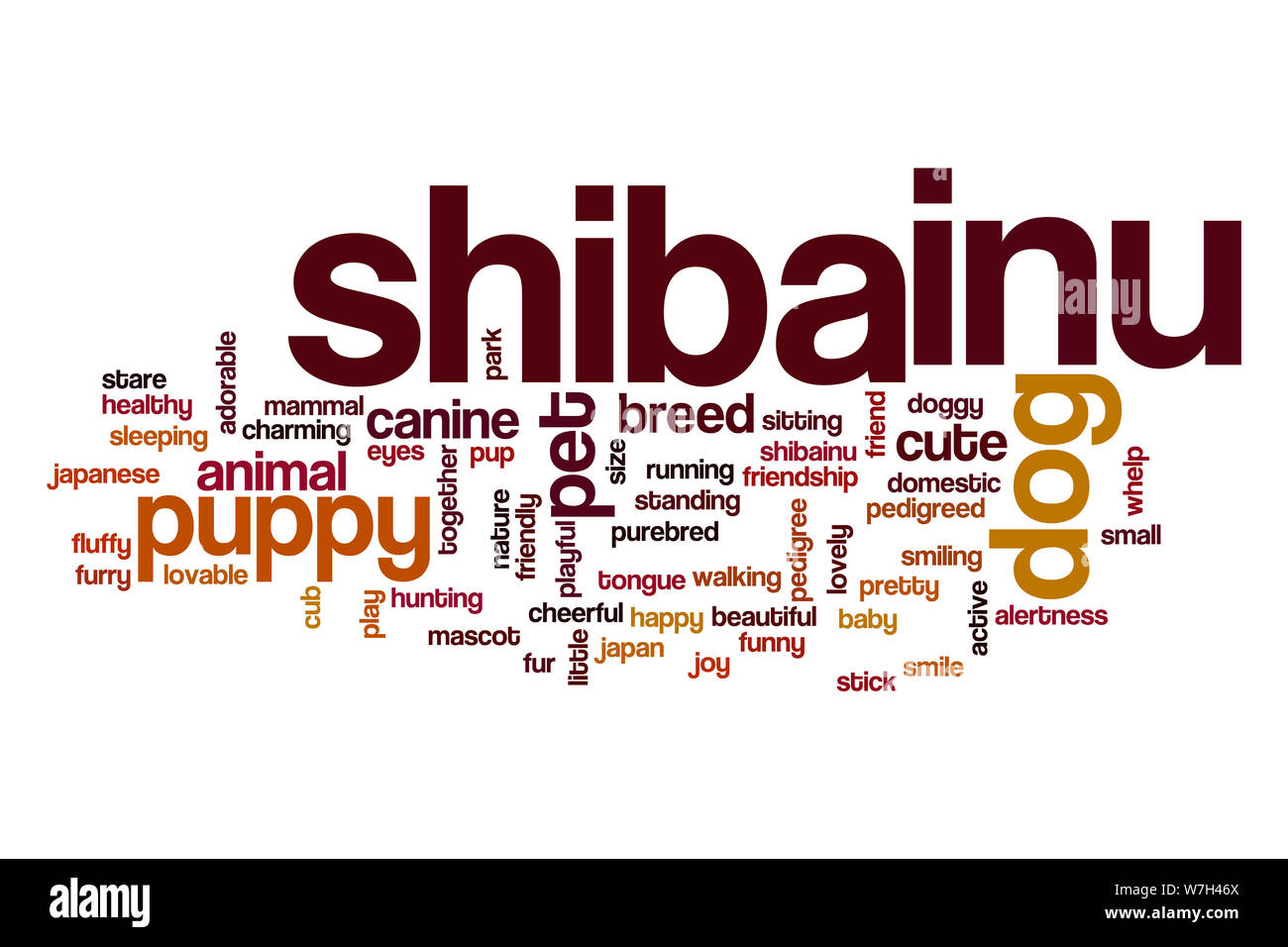 Shiba Inu word cloud Foto Stock