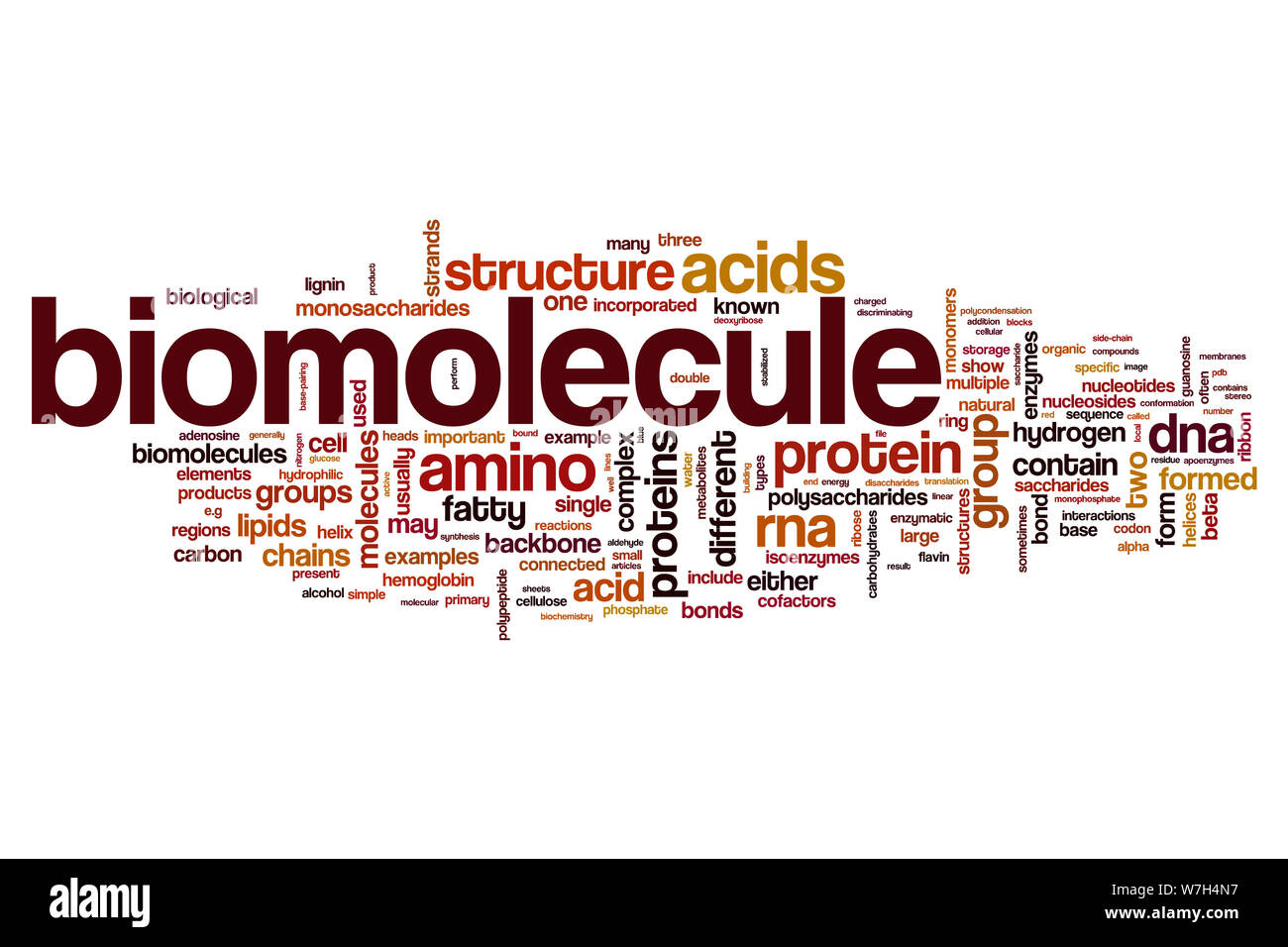 La biomolecola word cloud Foto Stock