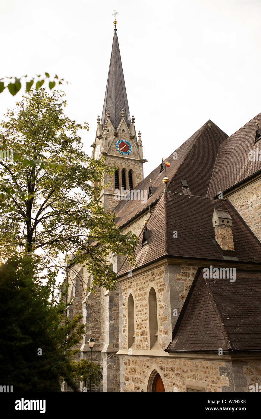 San Fiorino Cattedrale, un XIX secolo in stile neo-gotico chiesa cattolica a Vaduz, Liechtenstein. Foto Stock