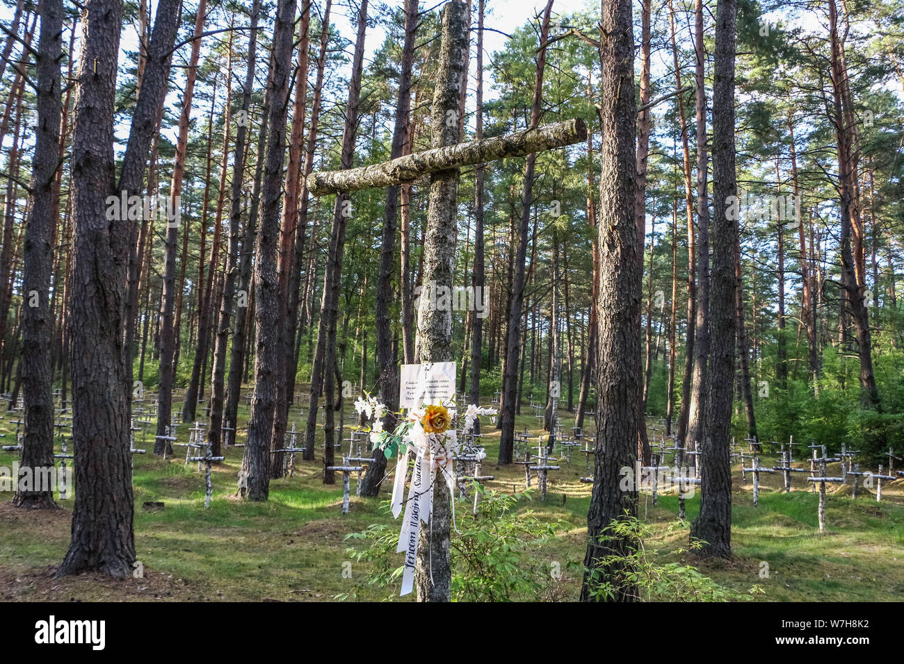 Borne Sulinowo, Polonia. 3rd, Agosto 2019 croci di betulla al cimitero dove uccise e morirono nel campo sovietico soldati russi sono sepolti sono visti nel Borne Sulinowo, Polonia il 3 agosto 2019 Oflag II-D era un tedesco della Seconda guerra mondiale per prigionieri di guerra camp si trova a Gross Nato è stato stabilito a casa francesi ufficiali dalla Battaglia di Francia, più tardi polacco e soldati sovietici. In Ja. 1945 vi erano 5,014 ufficiali e 377 orderlies nel camp. © Vadim Pacajev / Alamy Live News Foto Stock