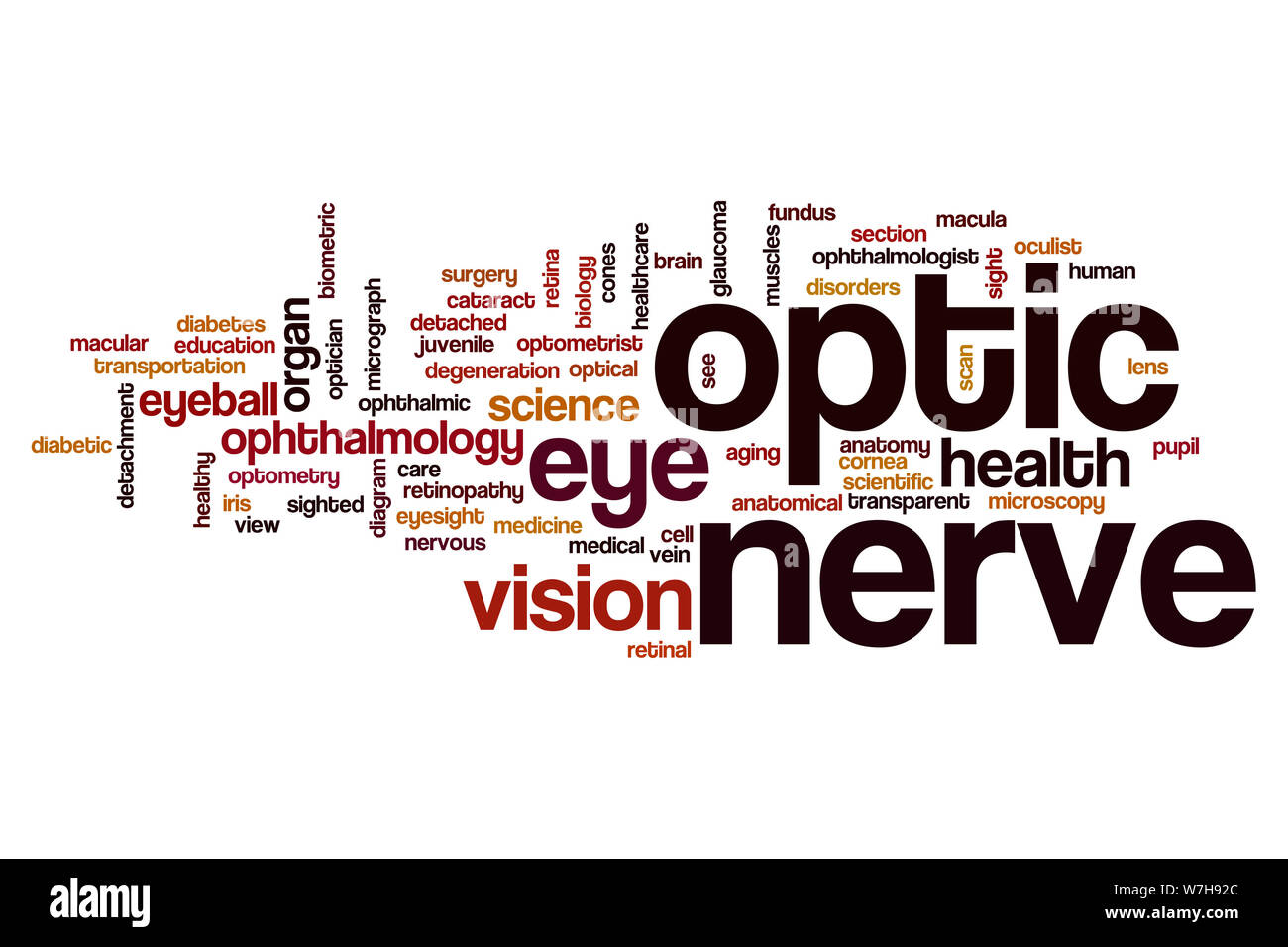 Nervo ottico parola concetto di cloud Foto Stock