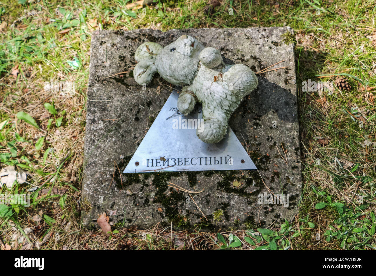Borne Sulinowo, Polonia. 3rd, Agosto 2019 tombe sul gruppo del Nord di forza sovietica dell'esercito russo sono visti nel Borne Sulinowo, Polonia il 3 agosto 2019 Borne Sulinowo tra il 1945 e il 1992 era un segreto militare sovietico, base cancellati tutti i polacchi e mappe non è stato trasferito alla giurisdizione polacca fino al 1992. Nei documenti ufficiali sono stati chiamati zone forestali e rimase un segreto per quasi cinquant'anni. In 344 tombe sono sepolti soldati sovietici, le loro famiglie e i civili dell'esercito sovietico lavoratori. © Vadim Pacajev / Alamy Live News Foto Stock