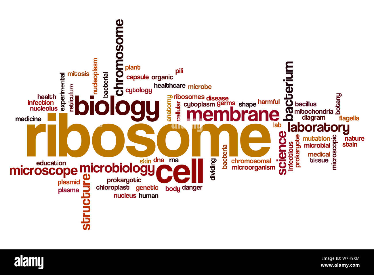Parola di ribosoma concetto di cloud Foto Stock