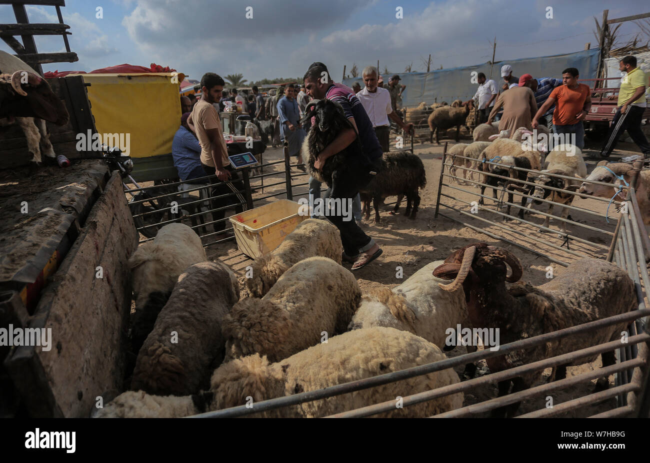 Striscia di Gaza, Bureij camp, Palestina. 5 Ago, 2019. Palestinesi di raccogliere in un mercato a vendere Huda al Bureij Refugee Camp nel centro della Striscia di Gaza. Credito: Yousef Masoud/SOPA Immagini/ZUMA filo/Alamy Live News Foto Stock