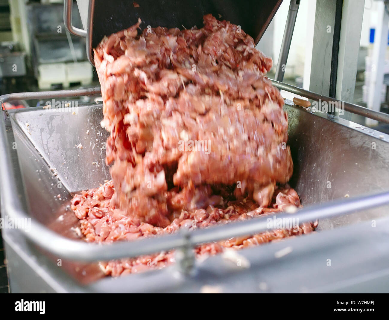 La carne nel macinatore. l'industria della carne. Foto Stock