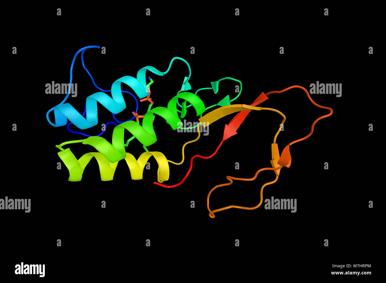 La fosfolipasi A2, di enzima che rilascia gli acidi grassi dal secondo gruppo di carbonio di glicerolo. Il rendering 3d. Foto Stock
