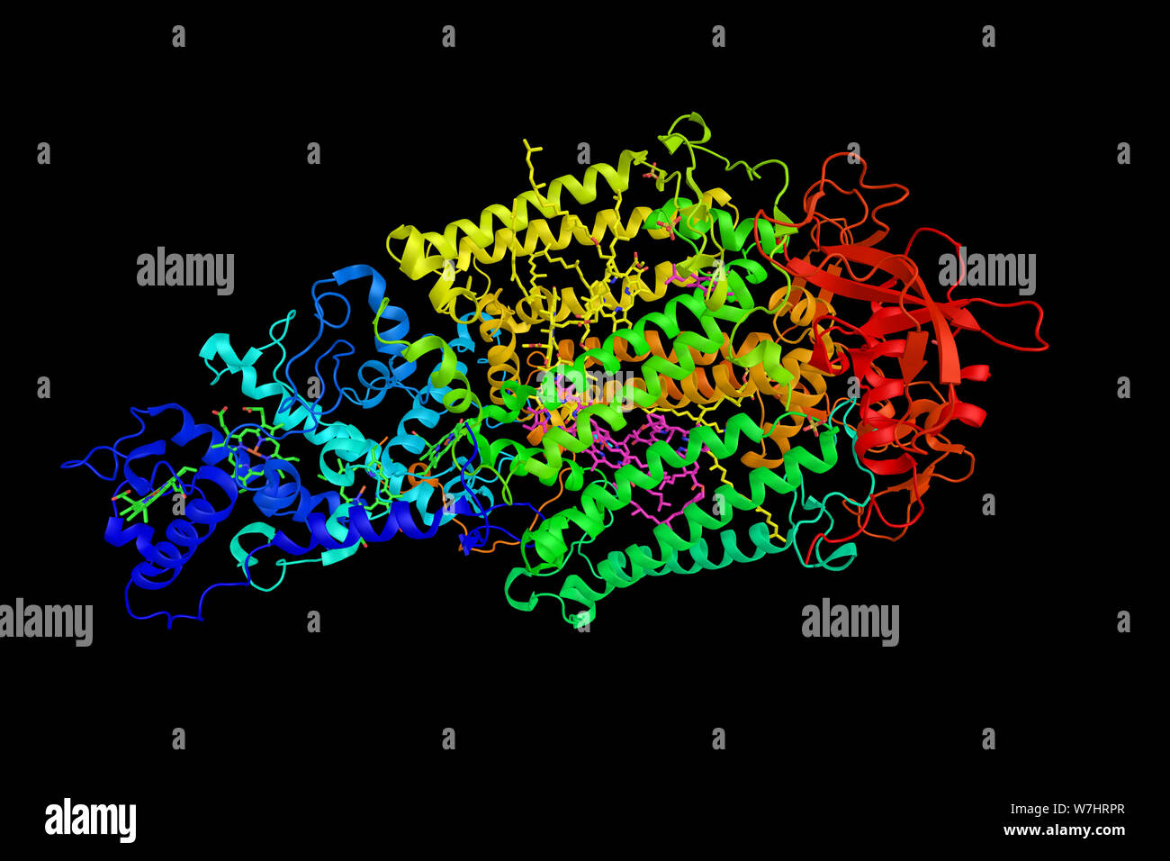 Reazione fotosintetica centro da Rhodopseudomonas viridis. Reazione fotosintetica proteine del centro sono i due principali componenti di proteina di re fotosintetico Foto Stock