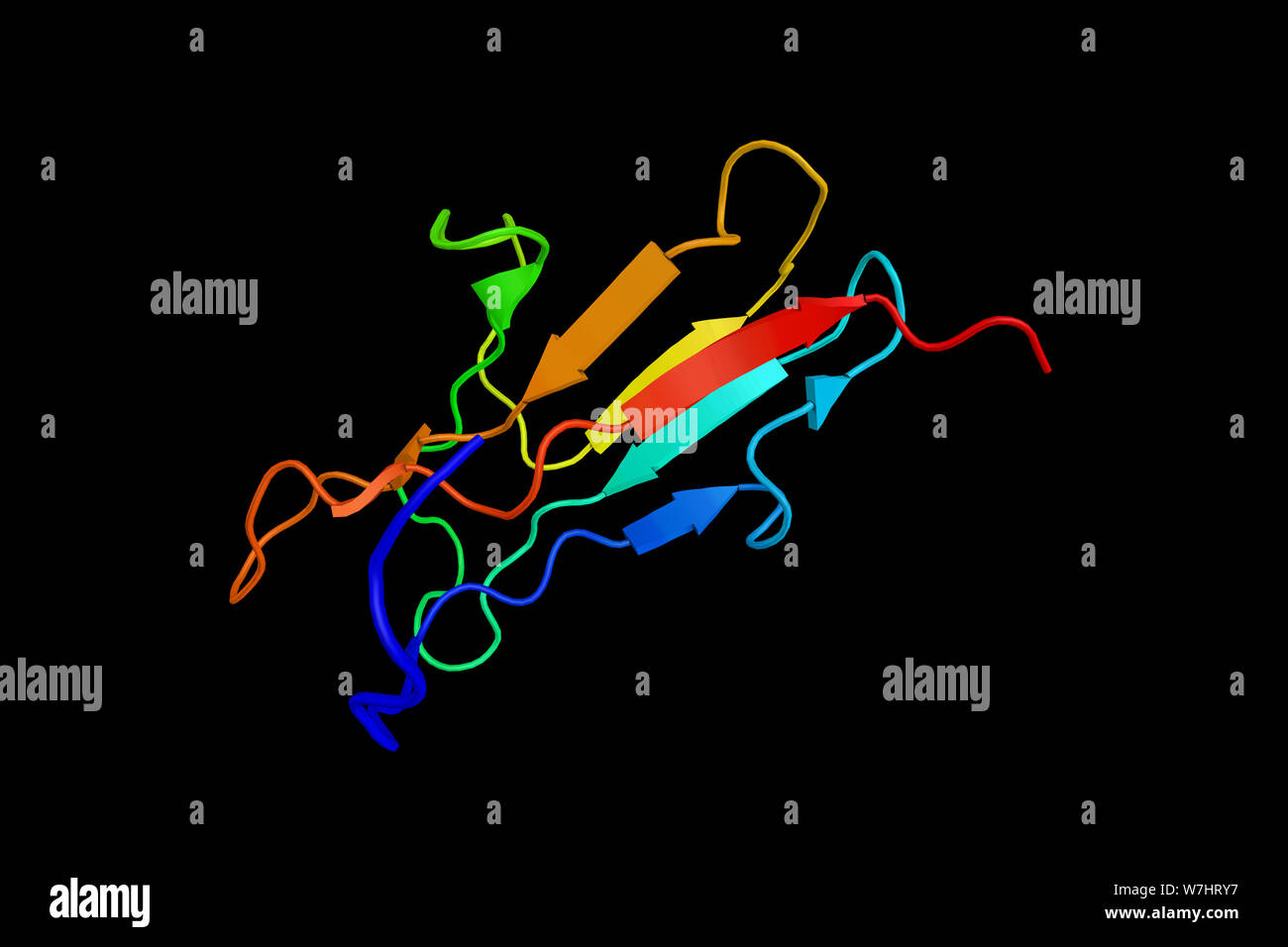 RAGE, il recettore di glicazione avanzata, un recettore transmembrana della immunoglobulina super famiglia. Il rendering 3d. Foto Stock