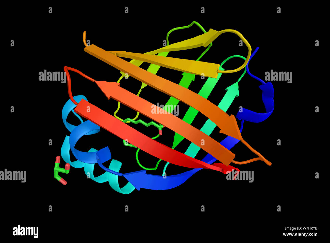 Proteine della mielina P2, un costituente del sistema nervoso periferico (PNS) mielina, presente anche in piccole quantità nel sistema nervoso centrale (CNS) mielina. 3d r Foto Stock
