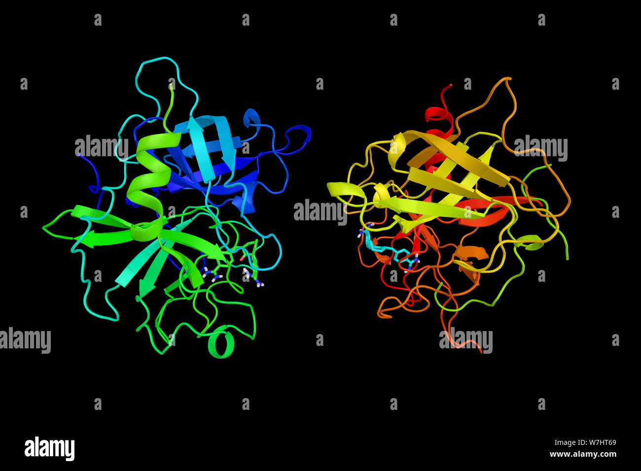 Attivatore di plasminogeno del tessuto, una proteina coinvolta nella ripartizione dei coaguli di sangue. Utilizzato in medicina clinica per il trattamento di embolizzazione o ictus trombotico. 3d Foto Stock
