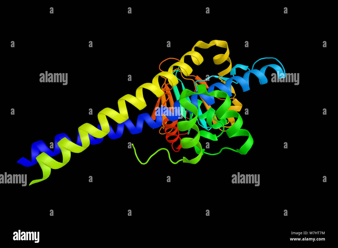 Il fattore di trascrizione DP-1, una proteina che regola l'espressione di vari promotori di cellulare. Il rendering 3d. Foto Stock