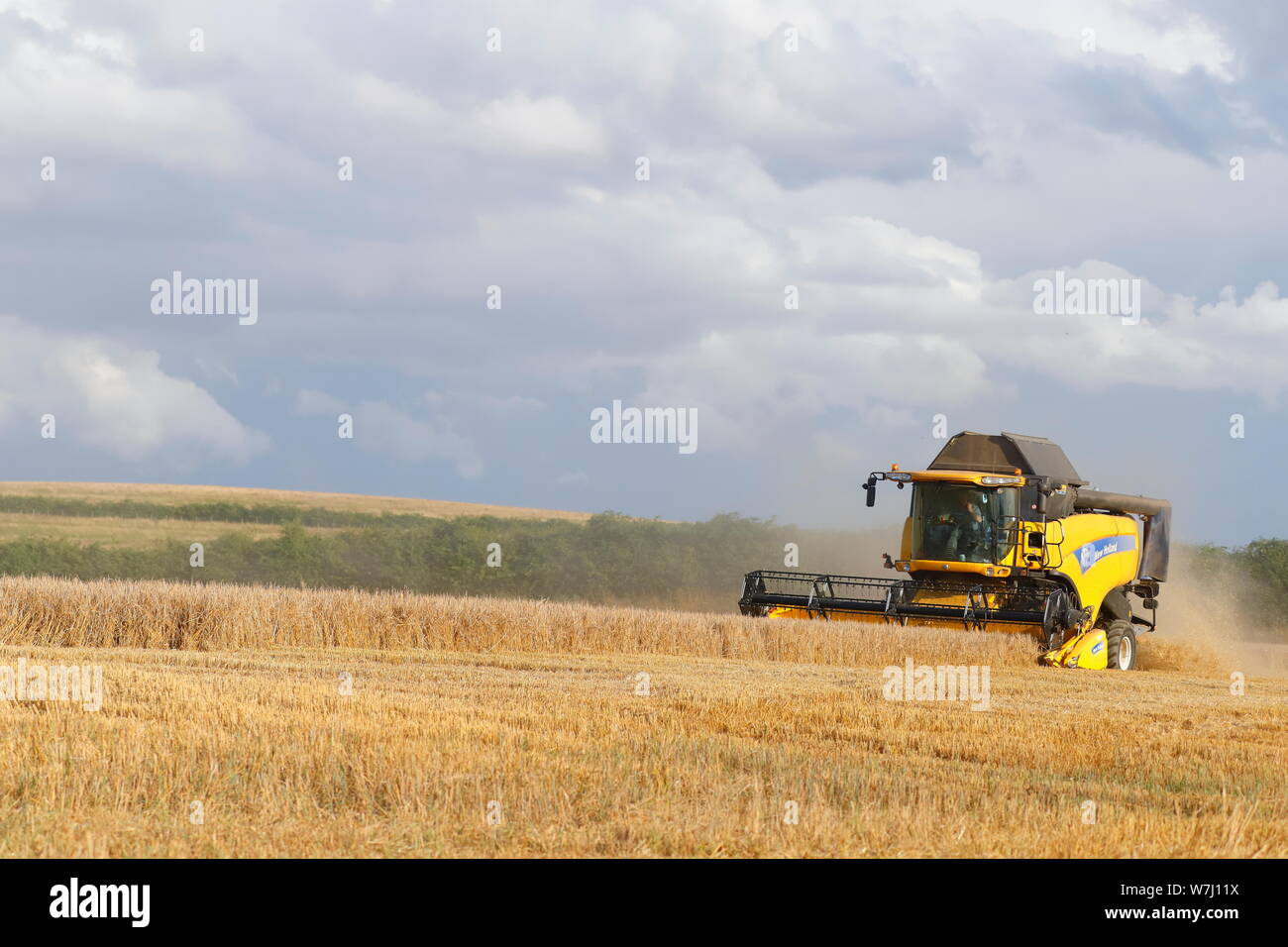 New Holland CX8040 Mietitrebbia il taglio di un campo di Swillington,Leeds. Foto Stock