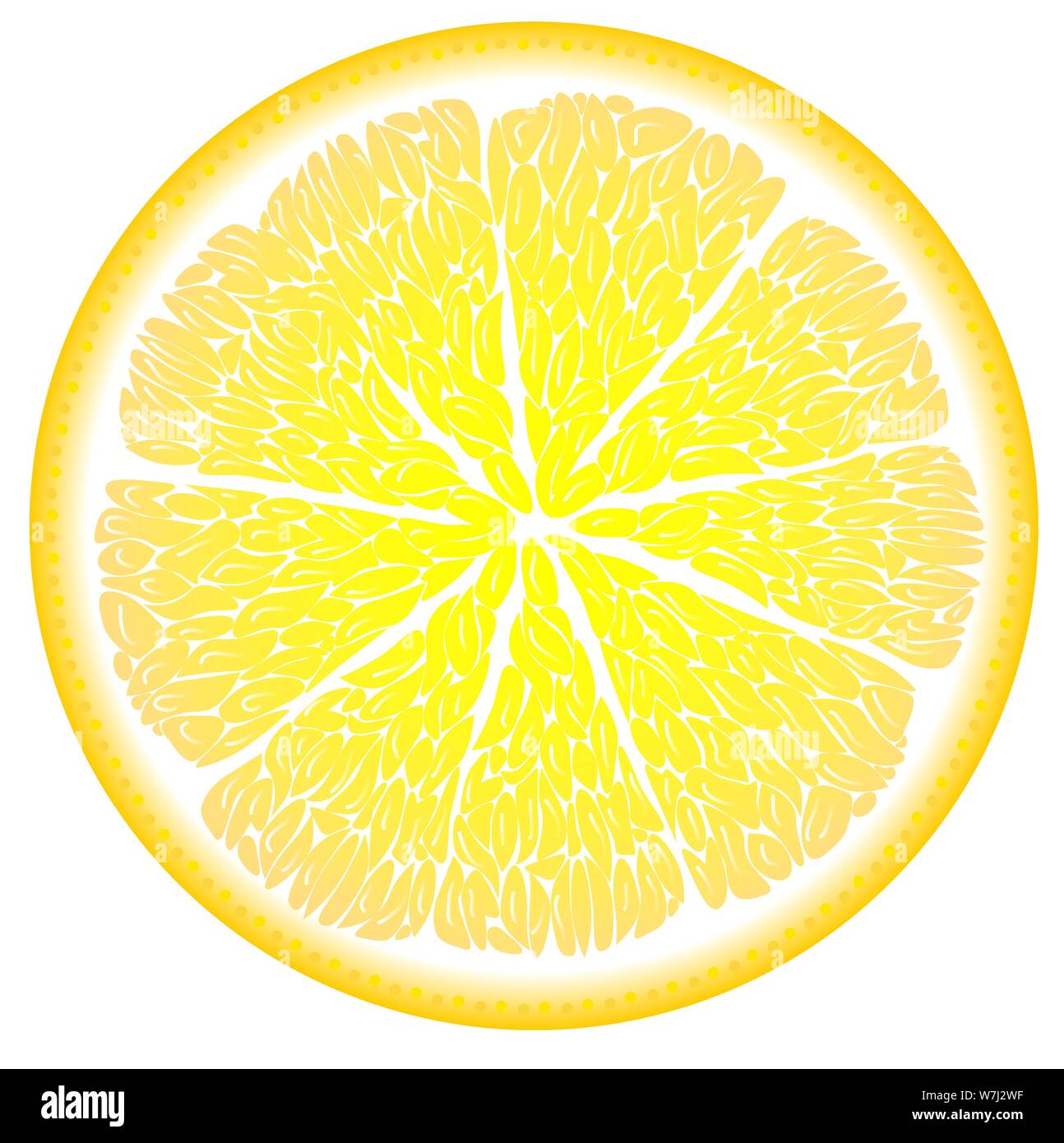Limone nel taglio close up, agrumi Illustrazione Vettoriale