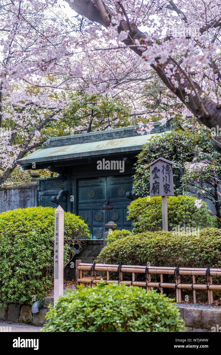 Cimitero, entrata sotto la fioritura dei ciliegi in Primavera, il Tempio Zojoji, tempio buddista complessa, Tokyo, Giappone Foto Stock