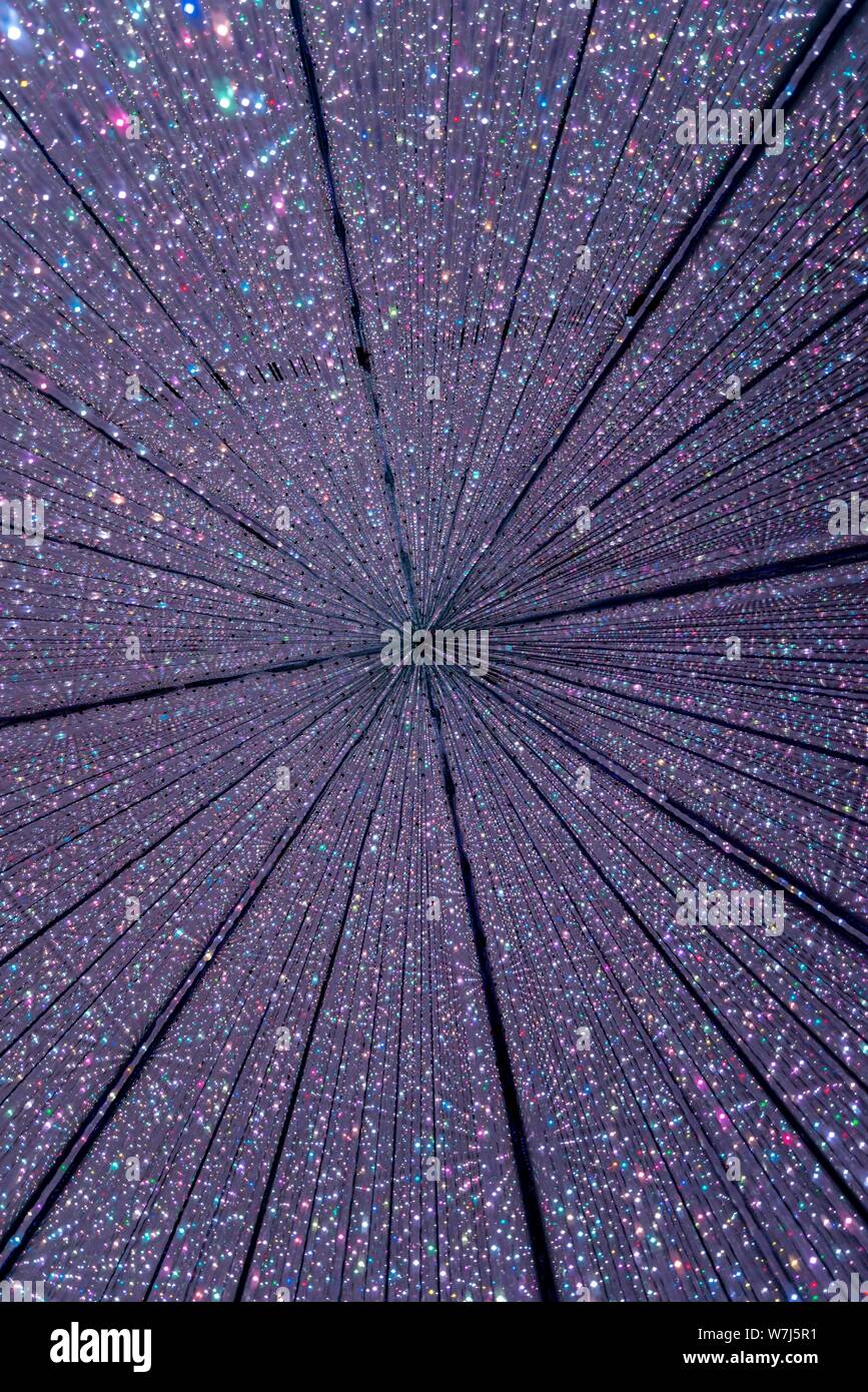 Installazione LED, Digital Art Museum, TeamLab pianeti, Koto City, Tokyo, Giappone Foto Stock