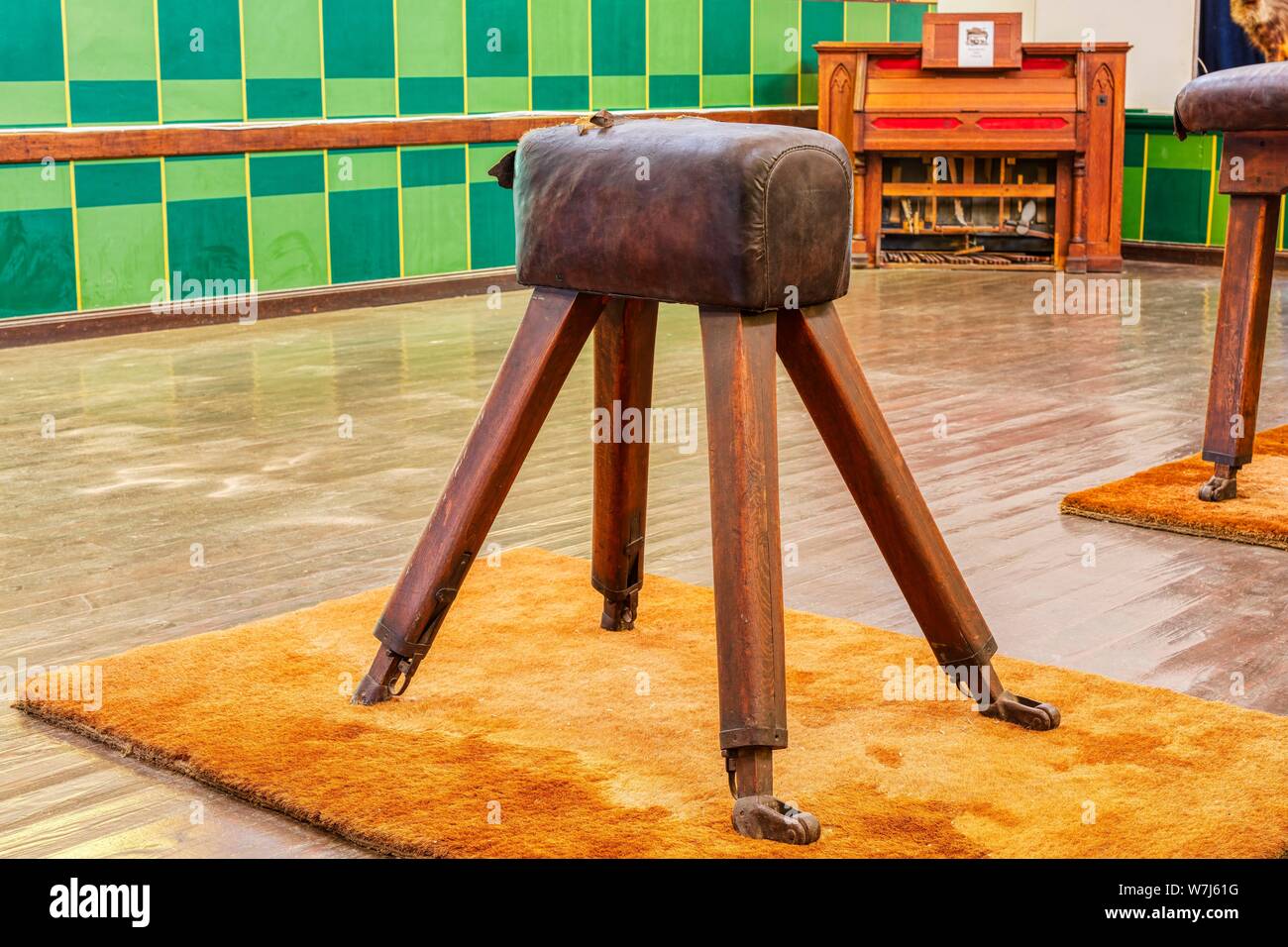 Buck, palestra, Kolmanskop, Namibia Foto Stock