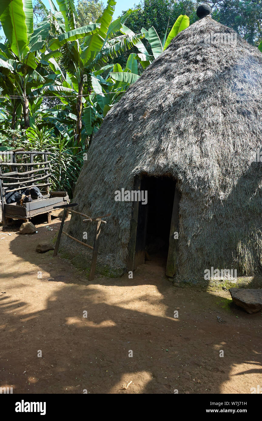 Un africano Chagga tribù home all'interno di caffè e piantagioni di banane Foto Stock