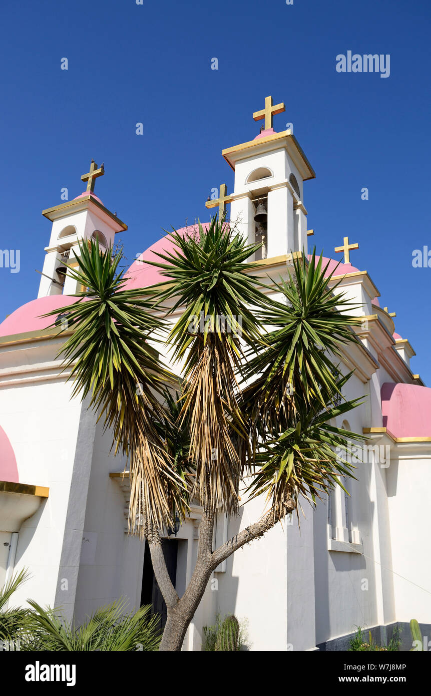 Yucca pianta di fronte alla CHIESA ortodossa greca DEI DODICI APOSTOLI, chiamata ANCHE CHIESA DEI SETTE APOSTOLI, Israele Foto Stock