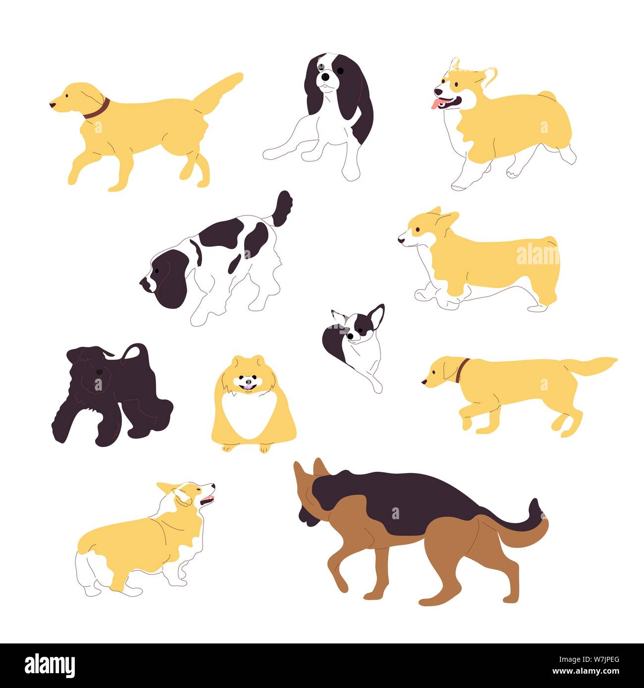 Set di razza più camminare e seduta cani, corgi retriever, pastore, terrier, spaniel, chihuahua, pomerania Illustrazione Vettoriale