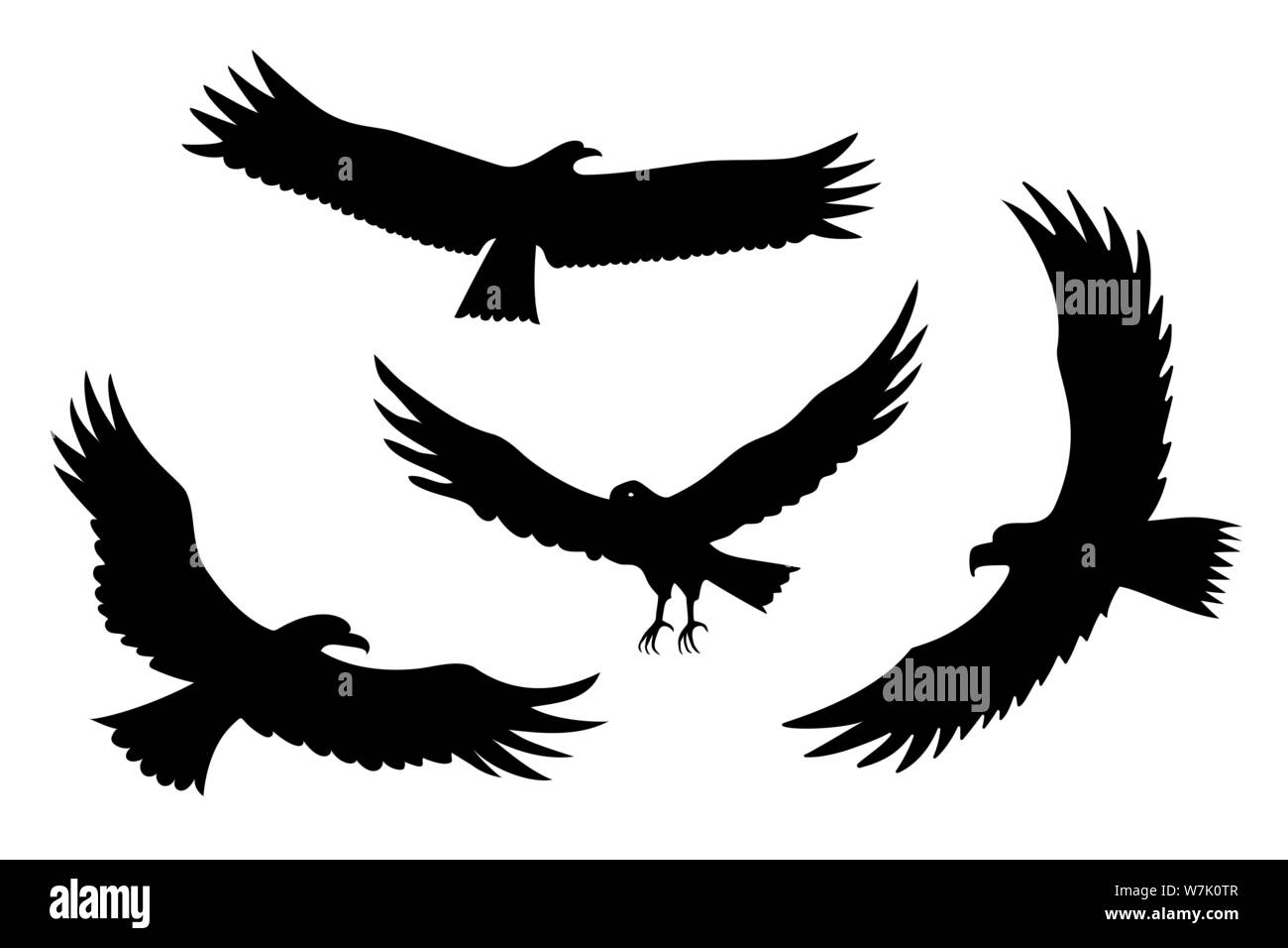 Sagome delle Aquile Volanti vettore predatore di uccelli impostato Illustrazione Vettoriale
