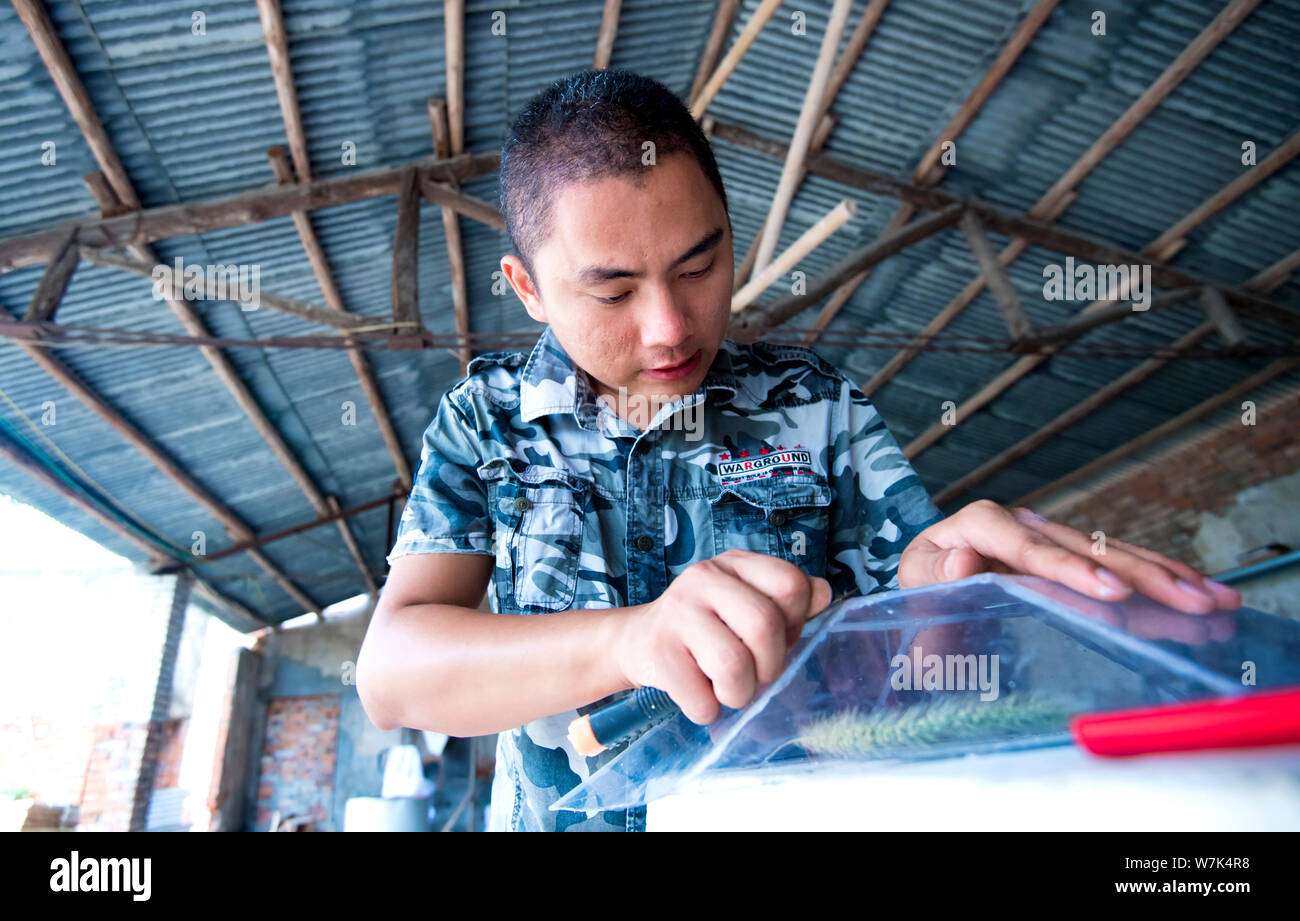 Cinese appassionato militare Gu Chunlin costruisce il modello a grandezza del J-20 Stealth Fighter Aircraft cinese di PLA (popoli dell Esercito di Liberazione) aria Foto Stock