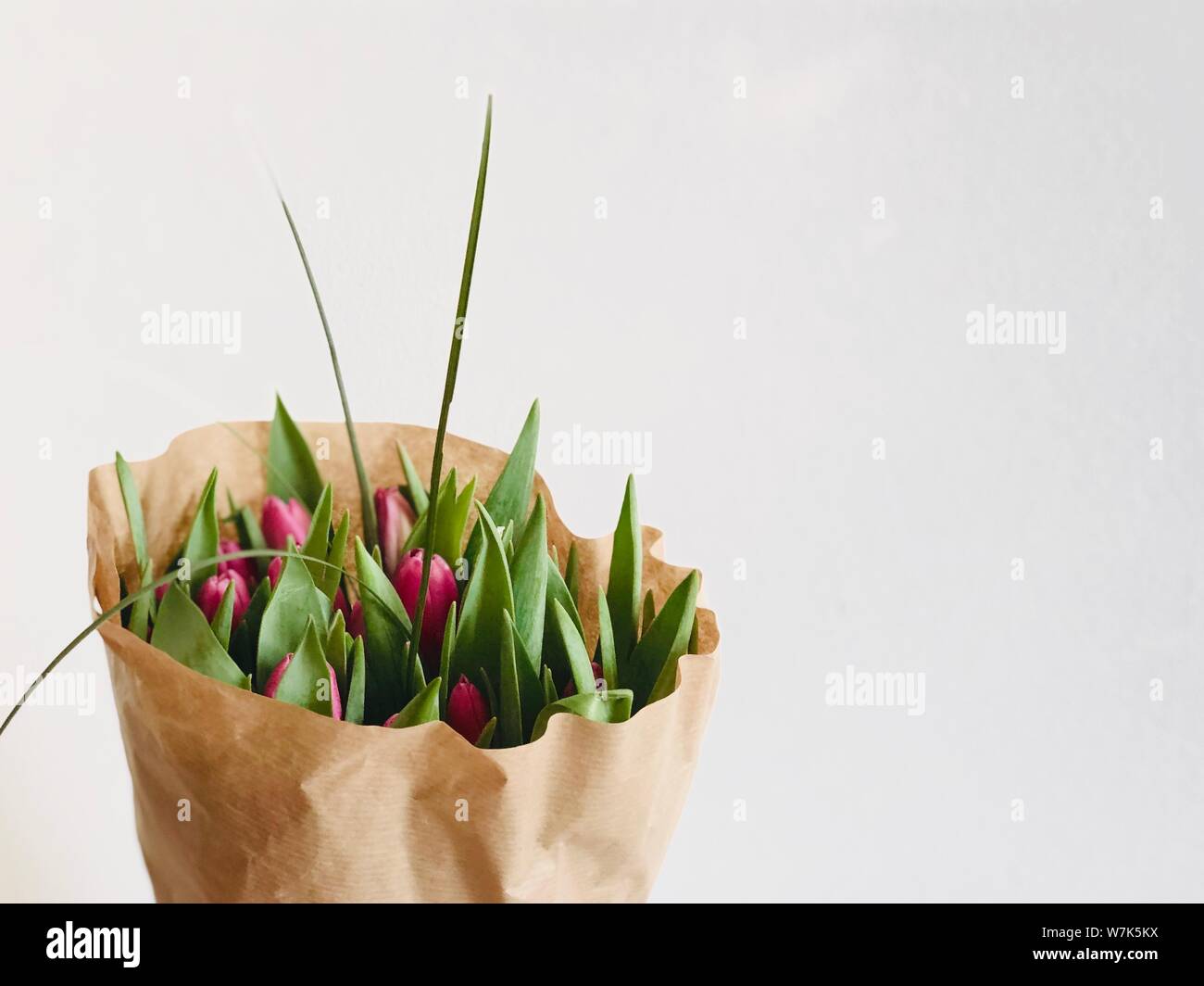 Tulipano fiore bouquet cartolina camera per testo sfondo bella fiori verde rosa e marrone Foto Stock