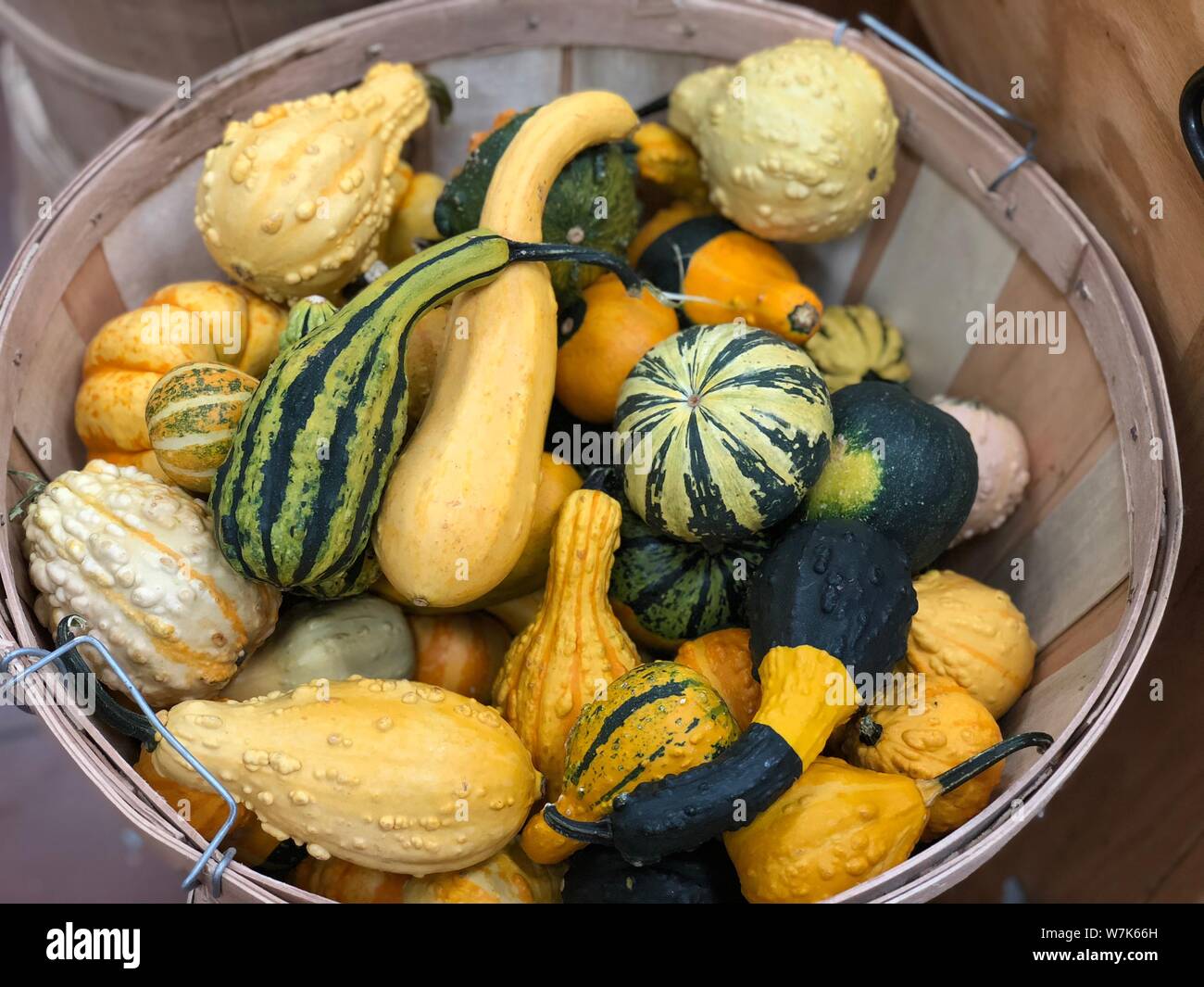 Decorativo colorato mini zucca zucca e delle stagioni autunno autunno sfondo del Ringraziamento Foto Stock