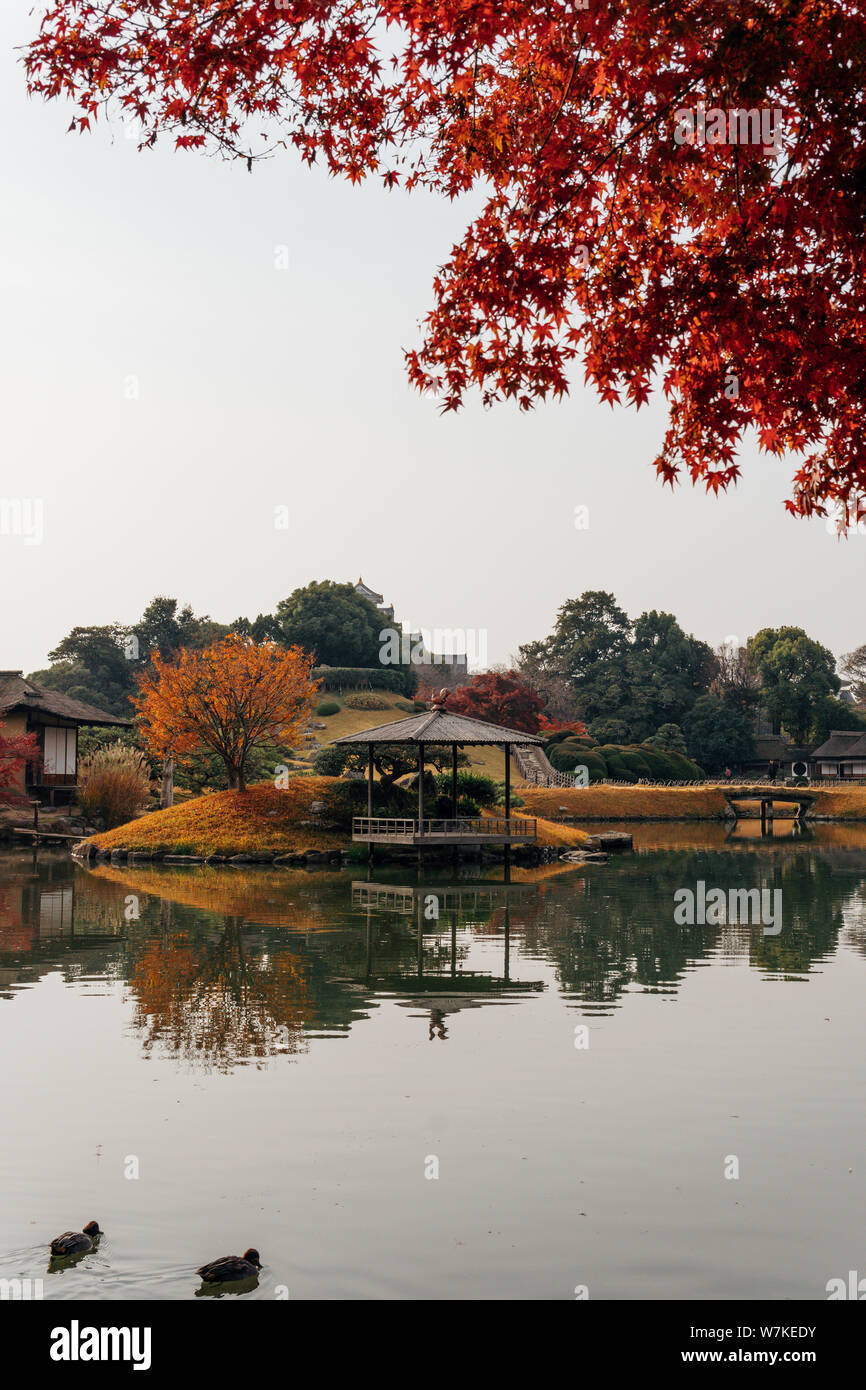 Tradizionale pacifica padiglione giapponese con stagno refelctions, foglie di autunno e anatre in il giardino Korakuen, Okayama, Giappone Foto Stock