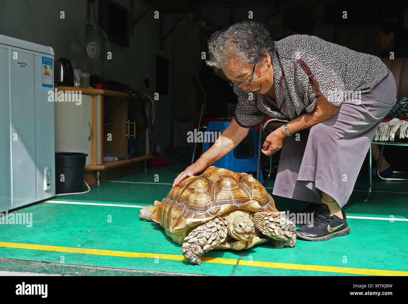 83-anno-vecchio donna cinese Hao Yulan si prende cura della sua gigantesca tartaruga pet a casa in Changchun city, a nord-est della Cina di provincia di Jilin, 22 agosto 2017. Foto Stock