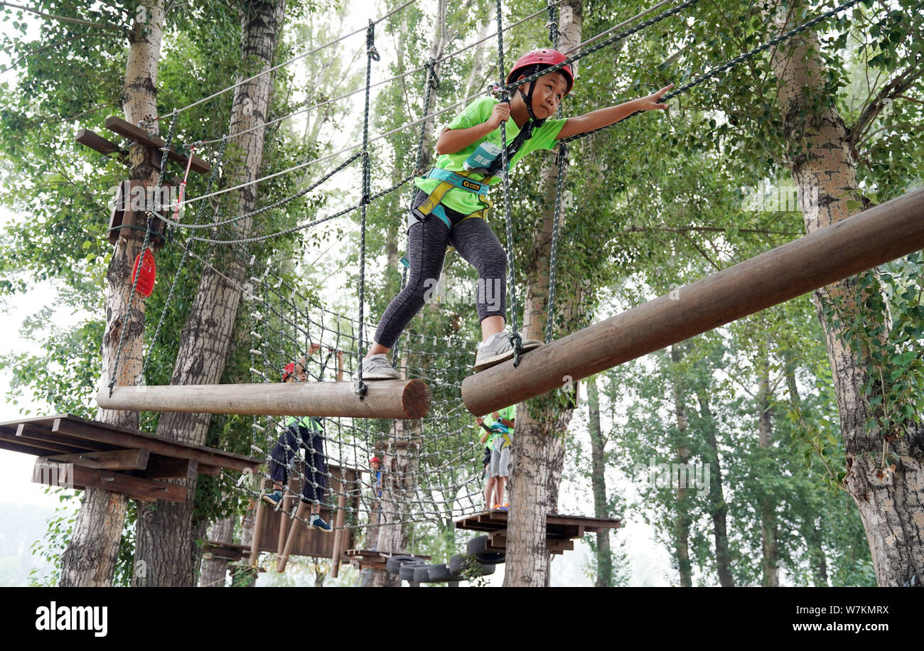Ragazza cinese Jia Aixuan, 9, vince la paura delle altezze e porta a termine la sua avventura nel corso boschi durante un training camp nel distretto di Yanqing, Beij Foto Stock