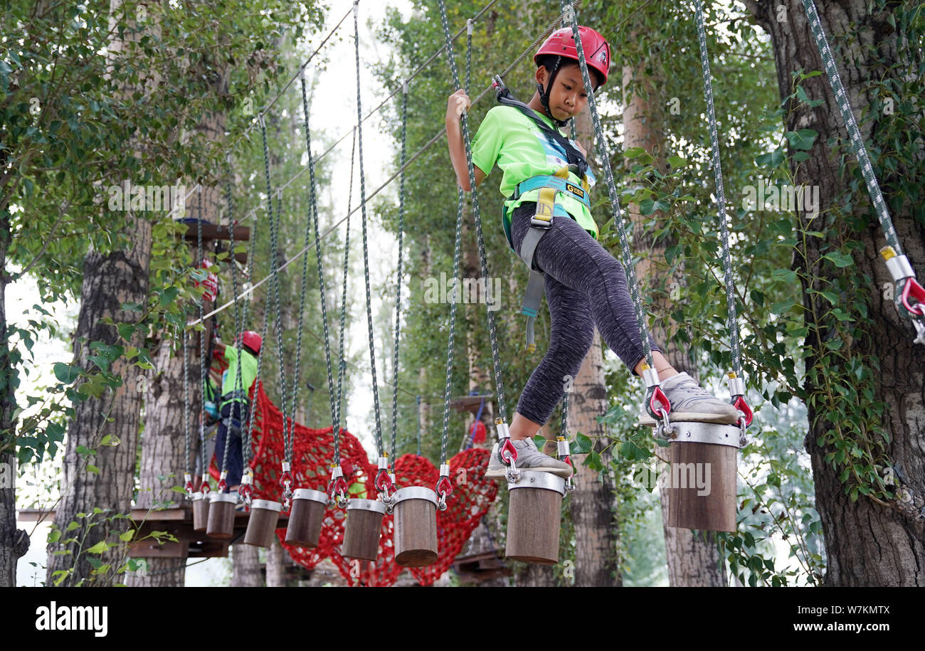 Ragazza cinese Jia Aixuan, 9, vince la paura delle altezze e porta a termine la sua avventura nel corso boschi durante un training camp nel distretto di Yanqing, Beij Foto Stock
