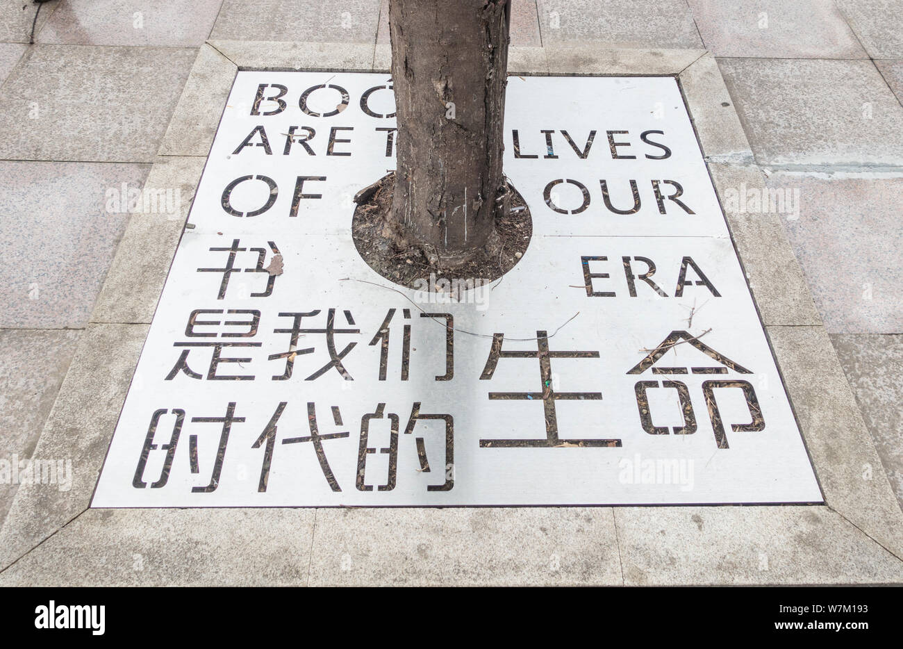 Un albero coperchio Buca decorata con citazioni motivazionale circa la lettura è visto nella città di Chengdu, a sud-ovest della Cina di provincia di Sichuan, 29 agosto 2017. Struttura ad albero Foto Stock