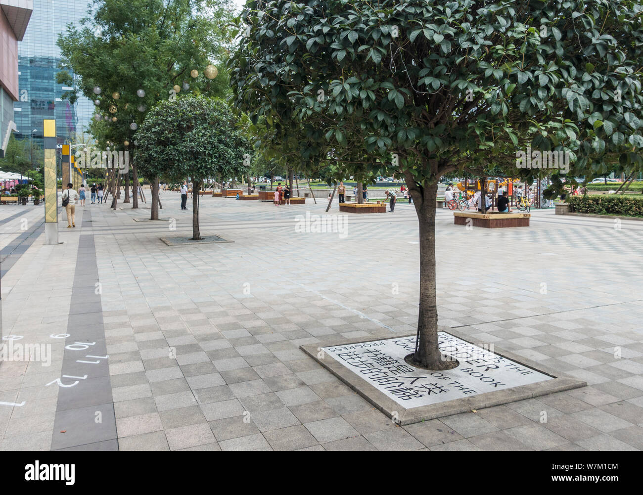 Tree pit copre decorate con citazioni motivazionali circa lettura sono visibili nella città di Chengdu, a sud-ovest della Cina di provincia di Sichuan, 29 agosto 2017. Struttura ad albero Foto Stock