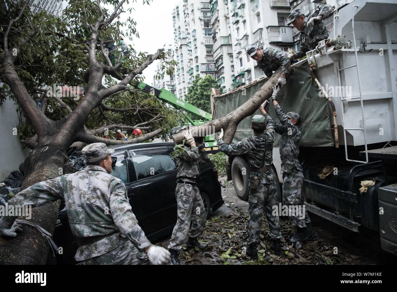 Soldati cinesi del PLA (Popolo della Esercito di Liberazione) Macao Garrison a portare via alberi sradicati dal forte vento causato dal tifone Hato su una strada in Mac Foto Stock