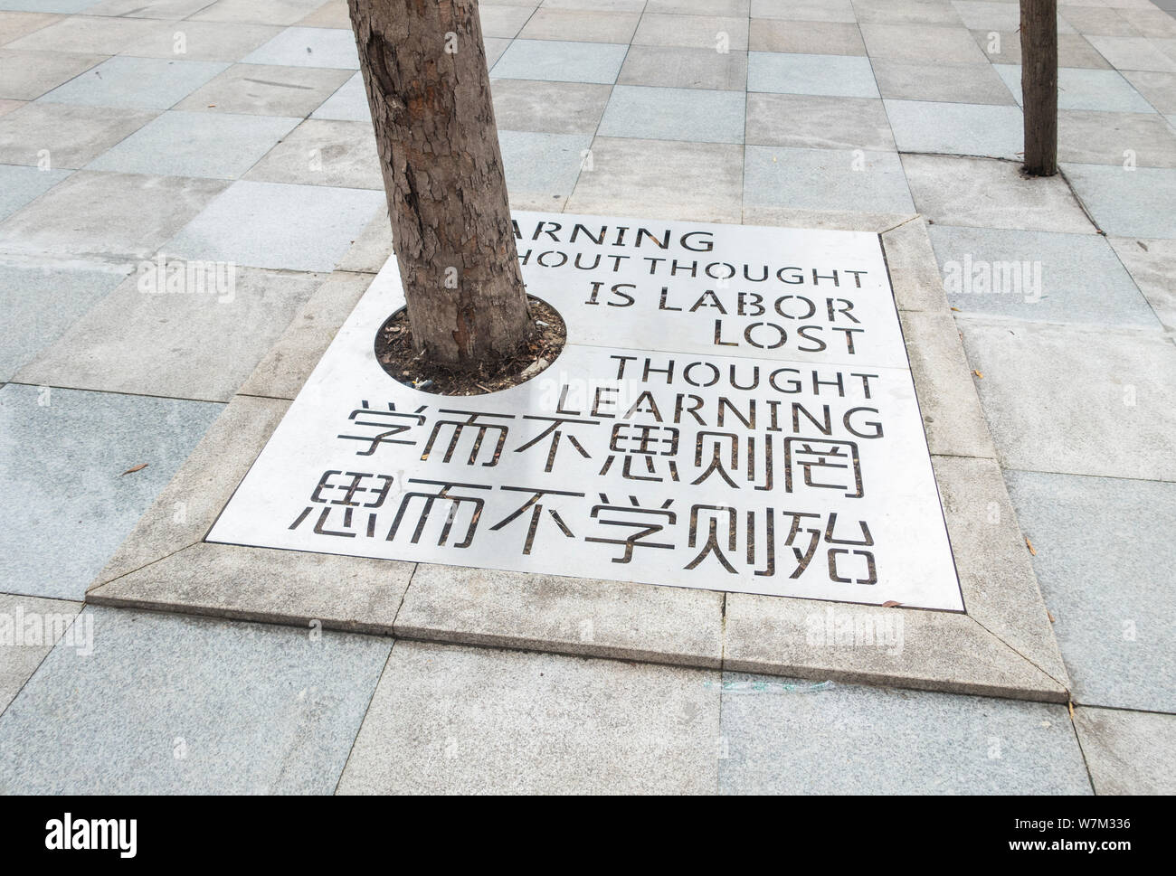 Un albero coperchio Buca decorata con citazioni motivazionale circa la lettura è visto nella città di Chengdu, a sud-ovest della Cina di provincia di Sichuan, 29 agosto 2017. Struttura ad albero Foto Stock