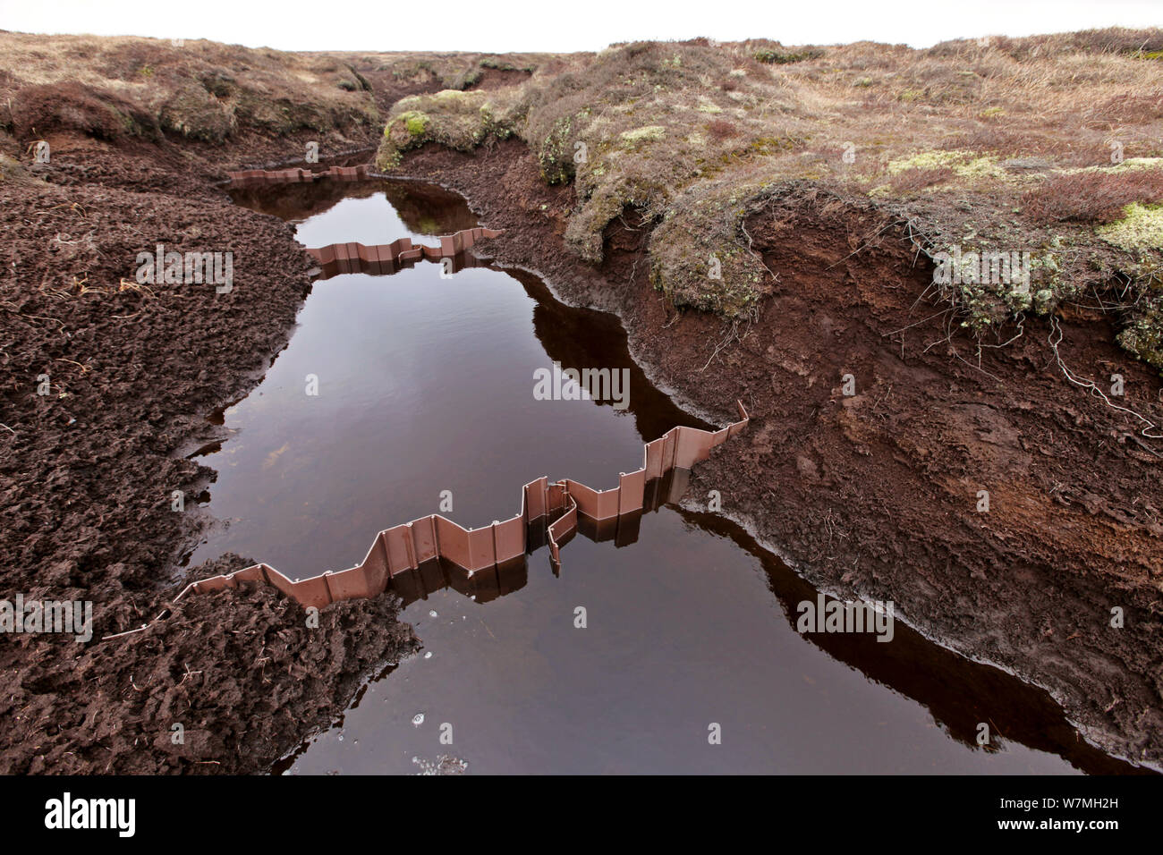 Burrone in plastica strutture di bloccaggio utilizzati per aiutare a prevenire fenomeni di erosione nella torba moorland i canali di drenaggio Kinder Scout NNR, Derbyshire, Inghilterra, Regno Unito, Luglio. 2020Vision Book piastra. Foto Stock