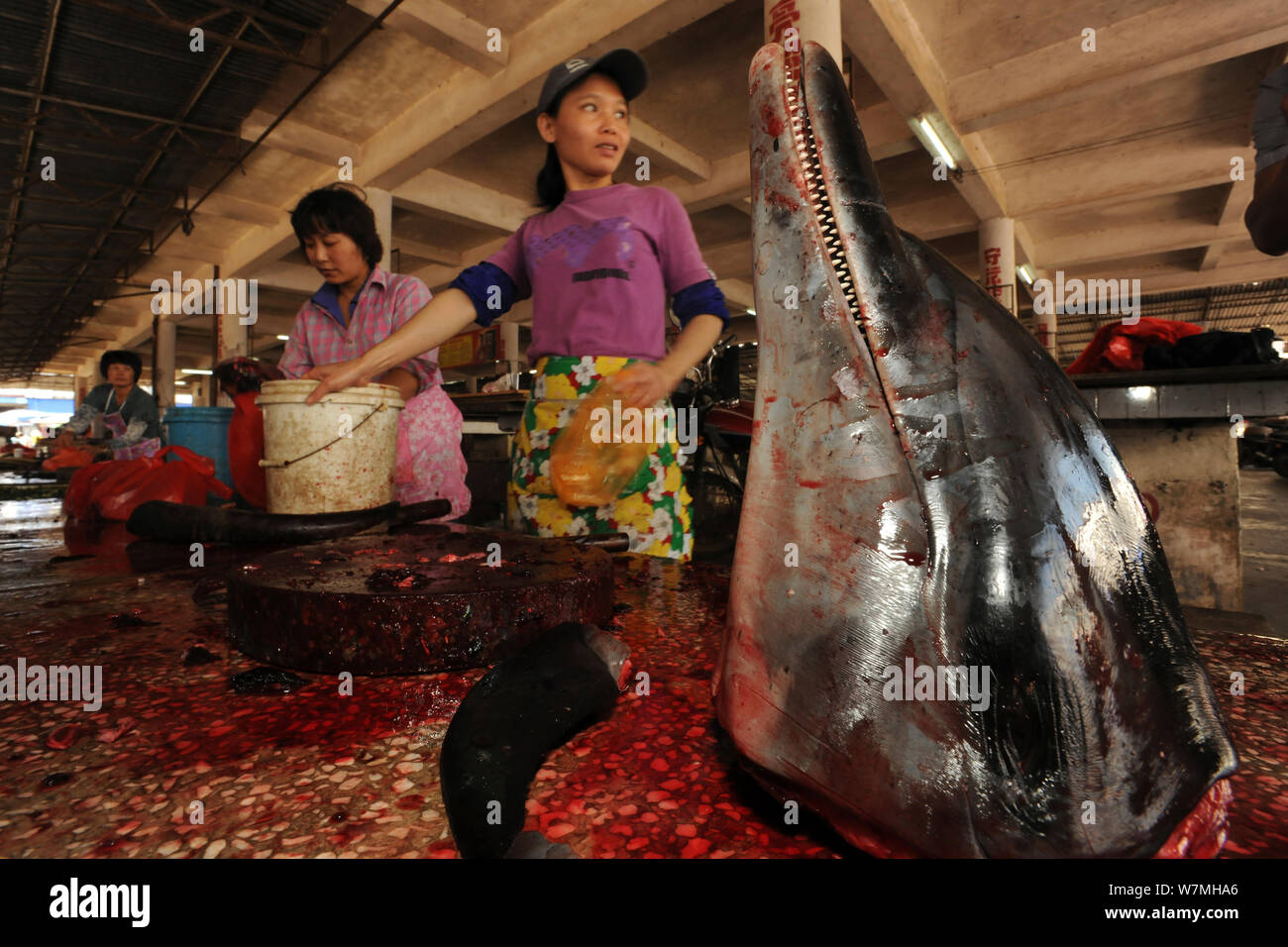 Gente che vende un delfino di carne a un paese mercato, testa sul display, Hainan Island, Cina, aprile 2012. Foto Stock