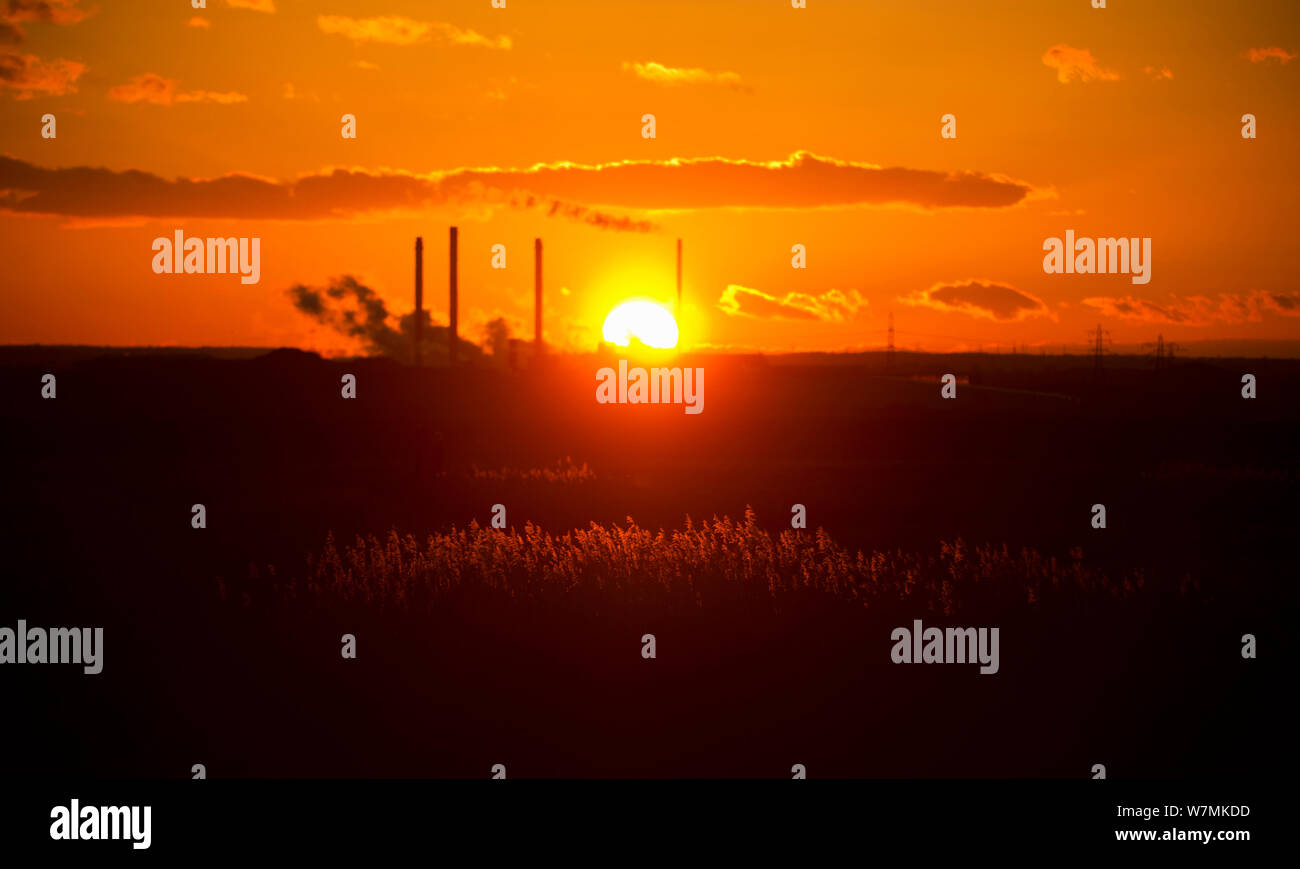 Vista al tramonto sul soleggiato canneti verso la frangia industriale di Elmley acquitrini e paludi Elmley RSPB riserva, Kent, Regno Unito, Febbraio 2012 Foto Stock