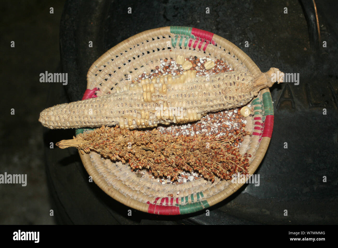 Vasca di contenimento del granturco e del sorgo a Zulu Shakaland Villaggio Culturale, di Eshowe, Kwazulu Natal, Sud Africa Foto Stock