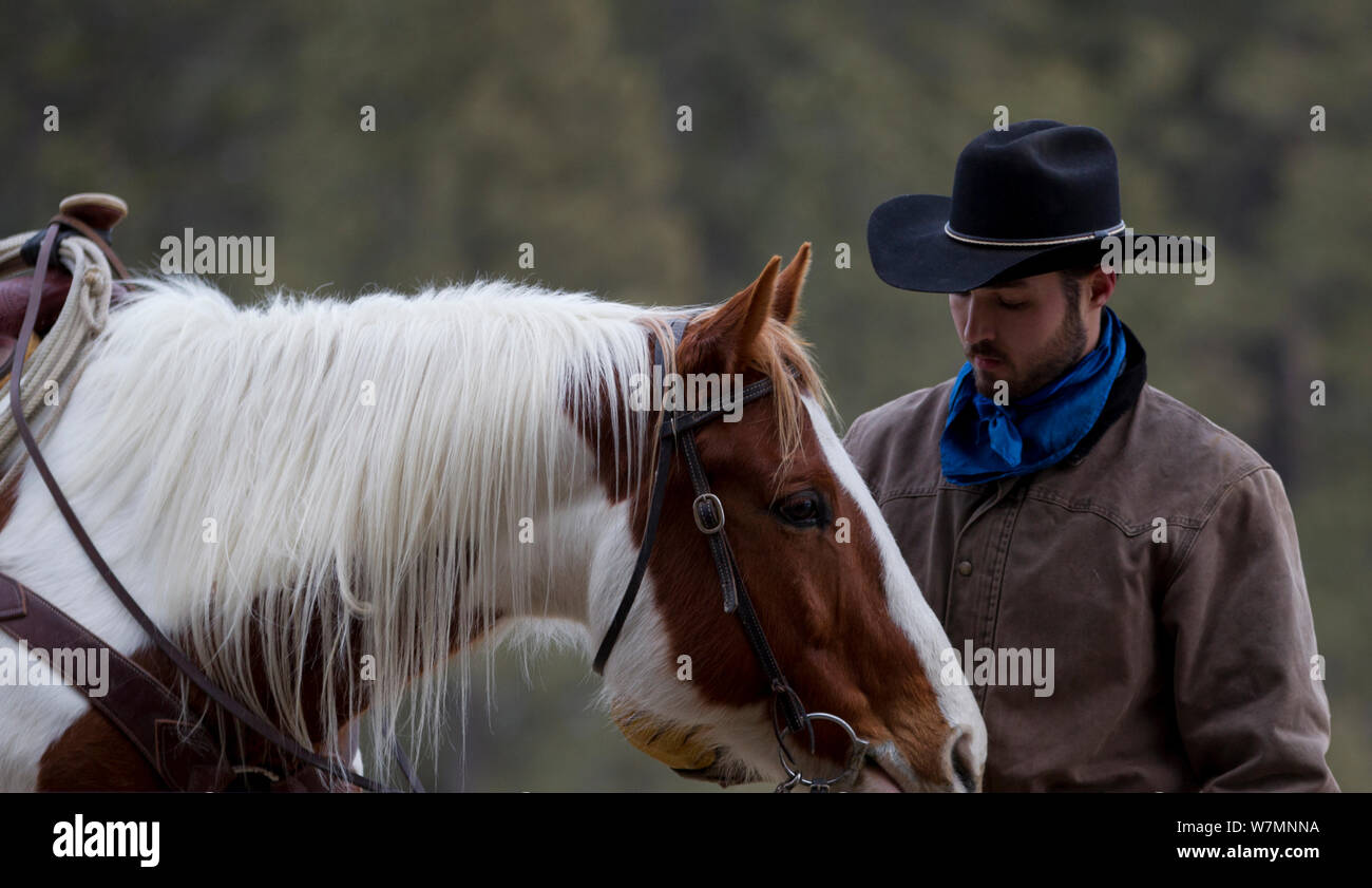 Buttero e cavallo, Wyoming negli Stati Uniti, febbraio 2012, modello rilasciato Foto Stock