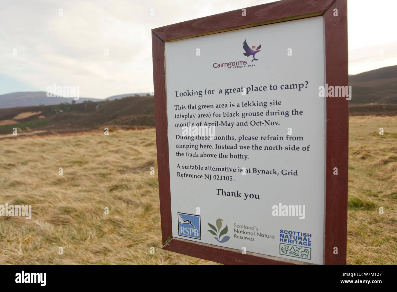 Segno avvertimento contro il gallo forcello disturbo Abernethy Forest, Cairngorms National Park, Scozia, marzo 2012. Foto Stock