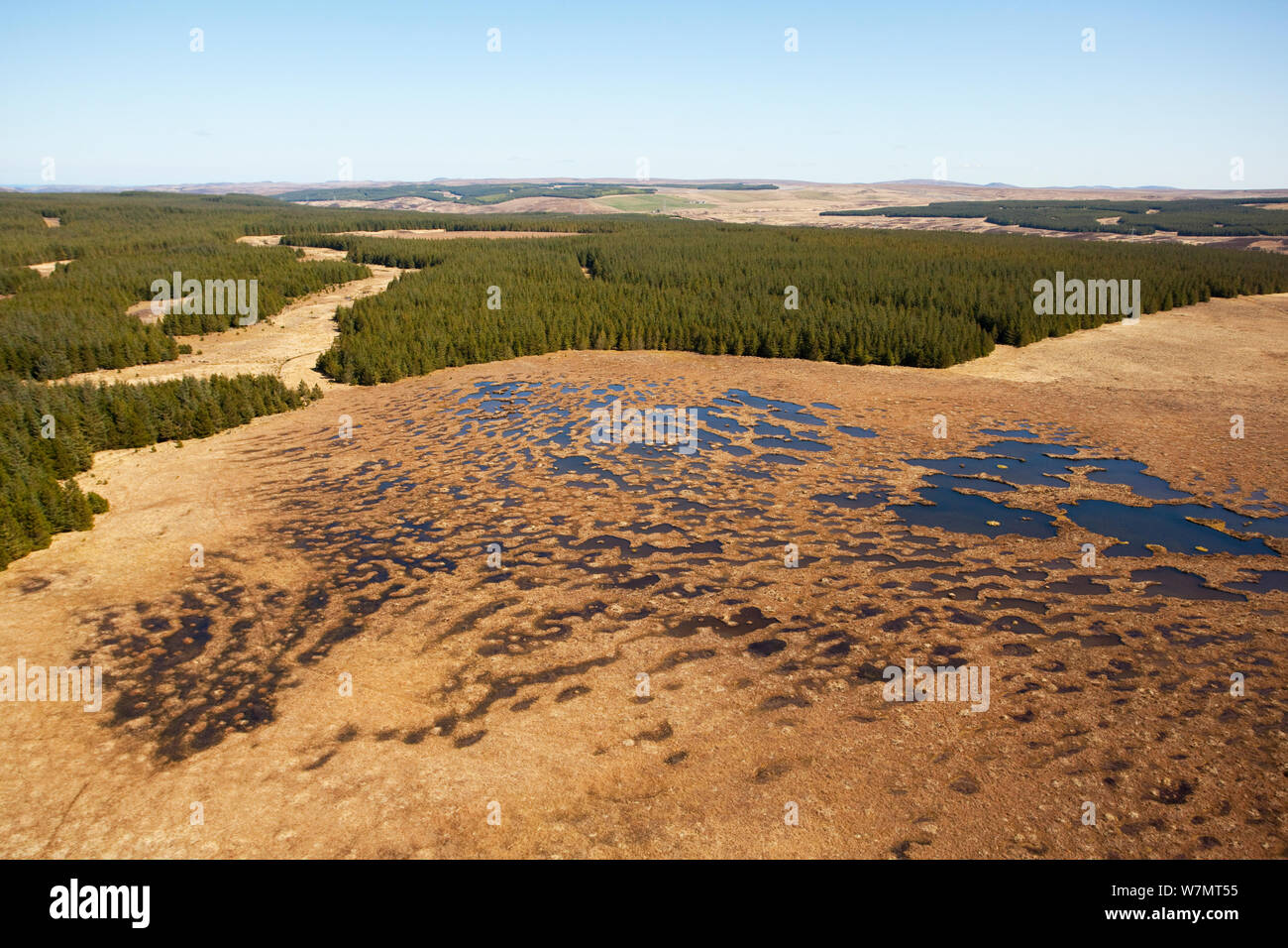 Vista aerea attraverso il paese di flusso mostrante peatland piscina con sistema commerciale di piantagioni forestali, Forsinard, Caithness in Scozia, Regno Unito, maggio. Foto Stock