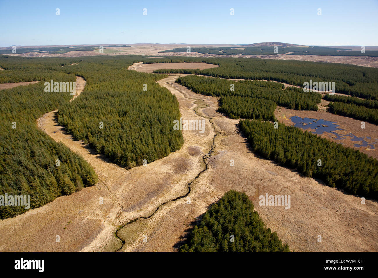 Vista aerea di blocchi di piantagioni forestali piantate su blanket bog, Forsinard, Caithness in Scozia, Regno Unito, maggio. Lo sapevate? Circa il 7 per cento della Gran Bretagna il terreno è coperto in piantagioni di conifere. Foto Stock