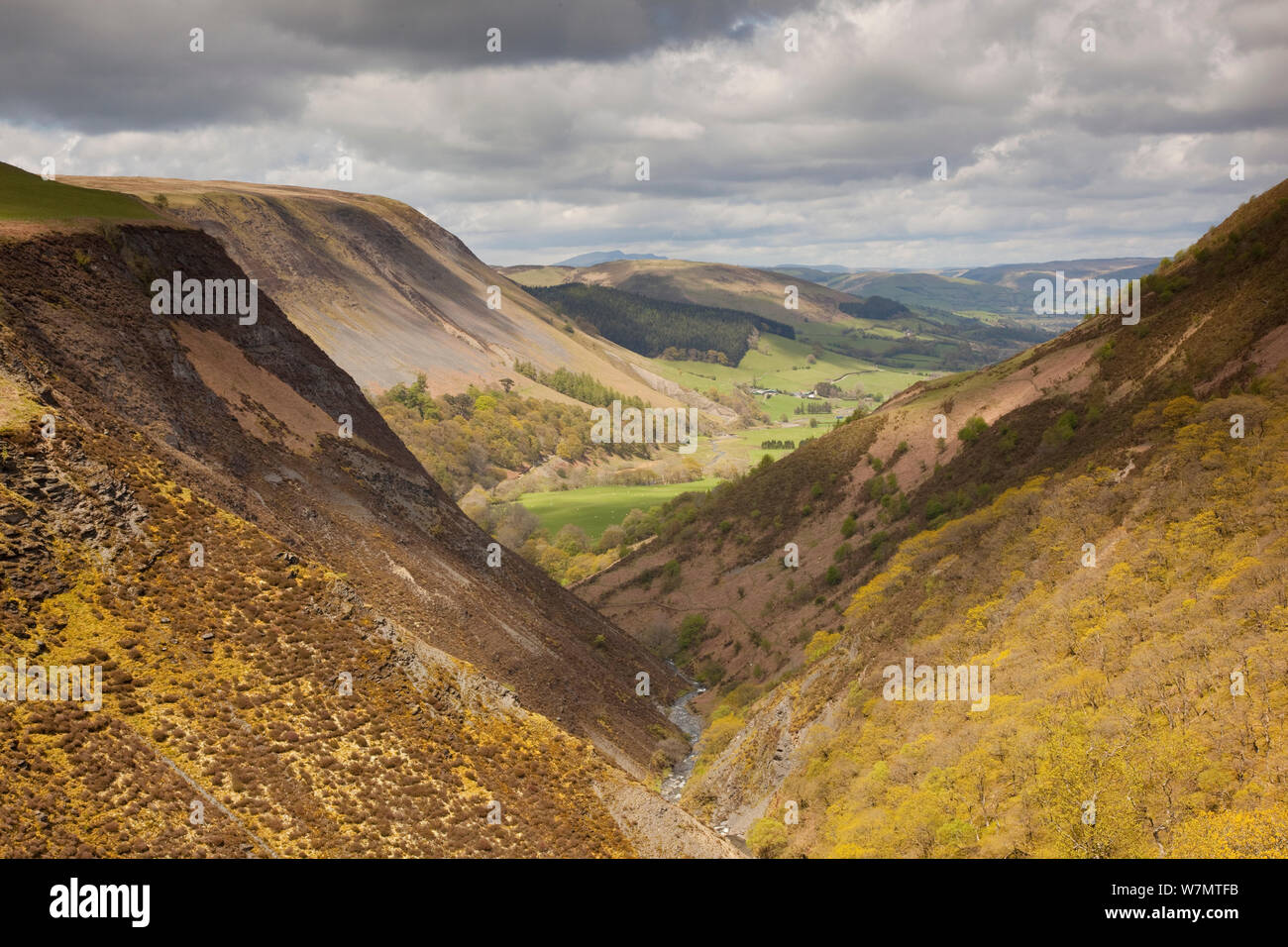 Vista lungo fiume Twymyn da Dylife sulla collina di montagna e il paesaggio agricolo. Cambrian Mountains, Galles, aprile 2012. Foto Stock