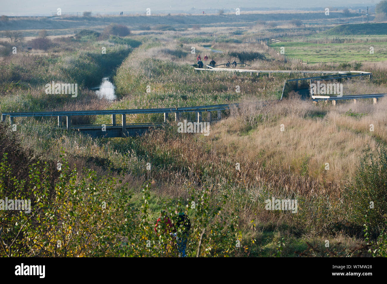 Vista del paesaggio di Rainham Marshes RSPB riserva, Essex, Inghilterra, Regno Unito, novembre Foto Stock