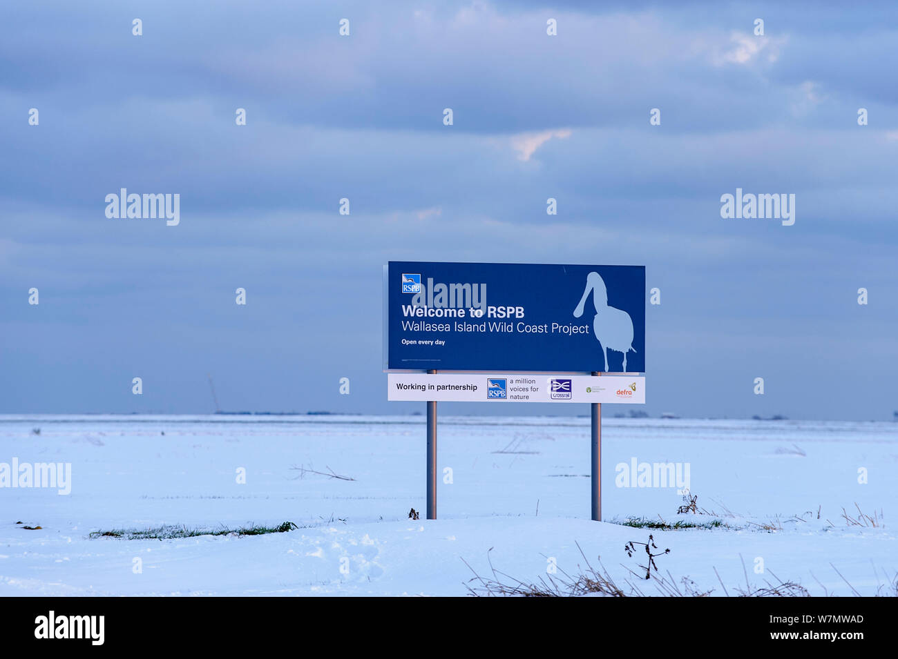 RSPB segno nella neve per Wallasea Island costa selvaggia Progetto, Essex, Inghilterra, Regno Unito, febbraio. Foto Stock