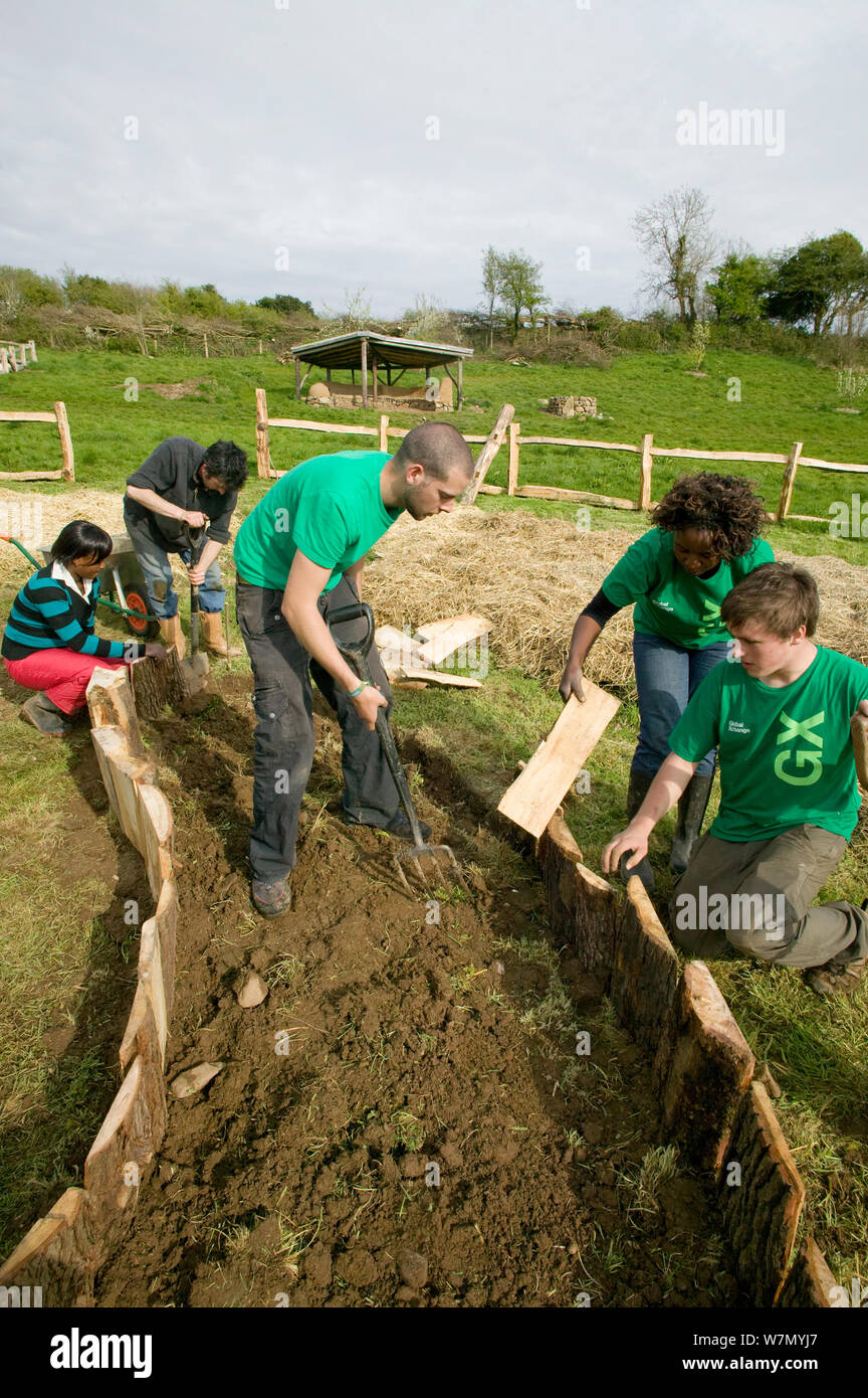 I giovani volontari aiutano a creare sollevata letti di semina per coltivare prodotti alimentari, giù per Terra progetto ambientale, Murton, Gower, South Wales, Regno Unito 2009 Foto Stock